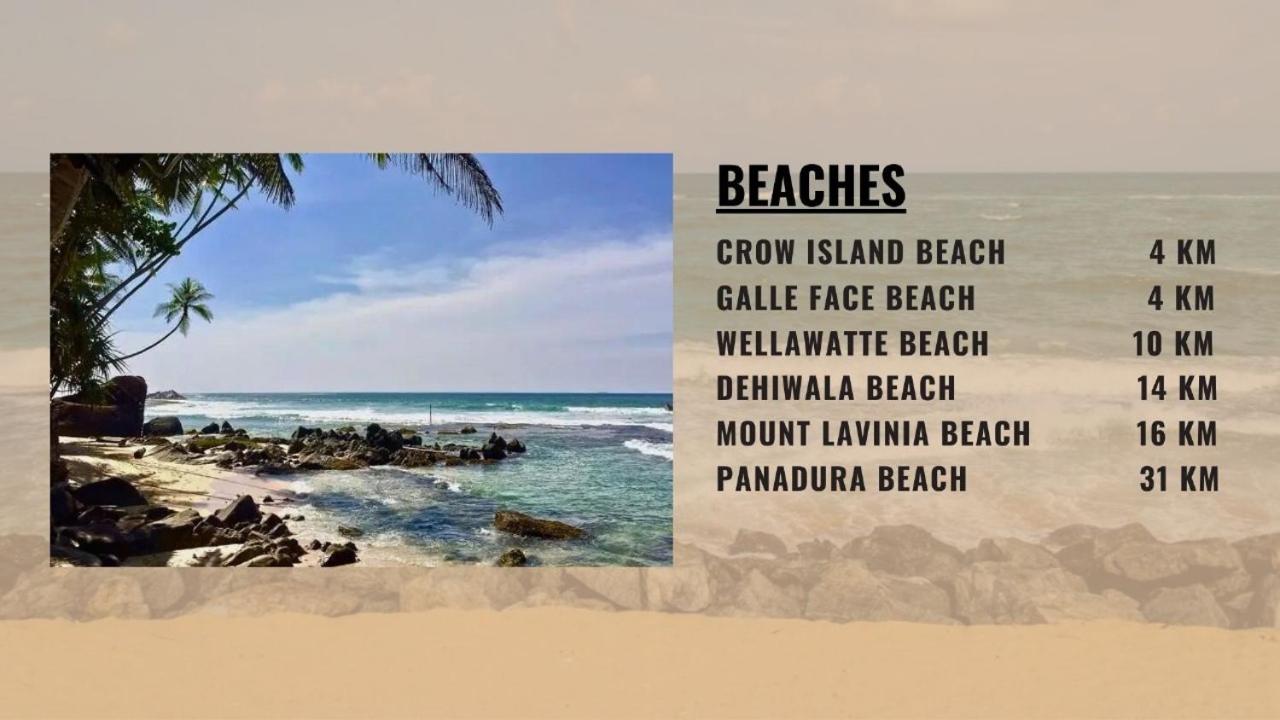 Фото Saasha City Hotel