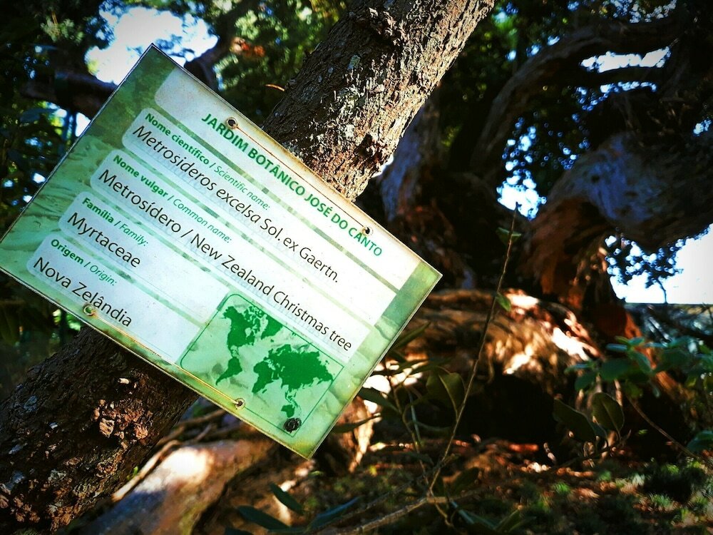 Фото Casa Do Jardim