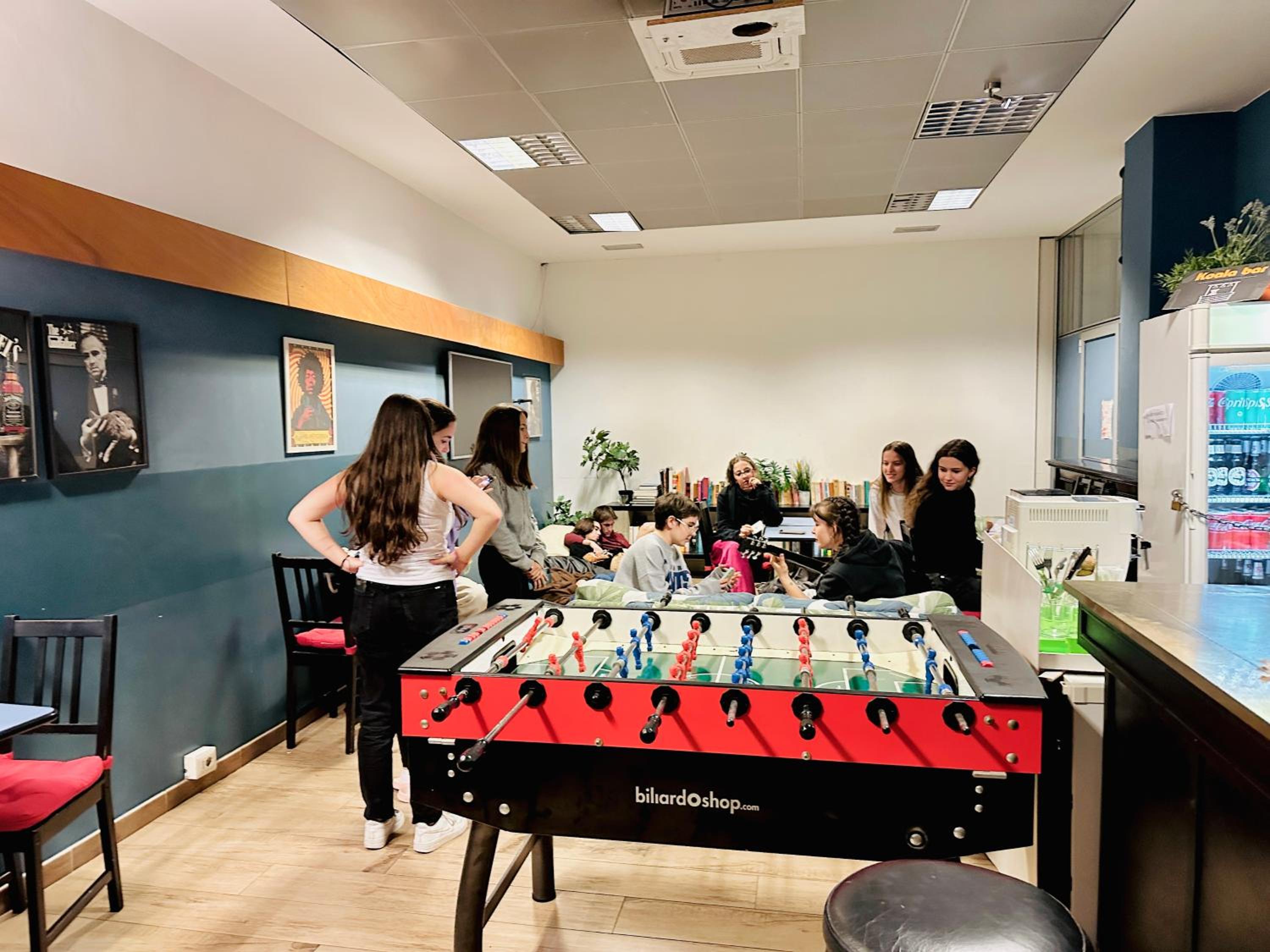 Фото Koala Hostel