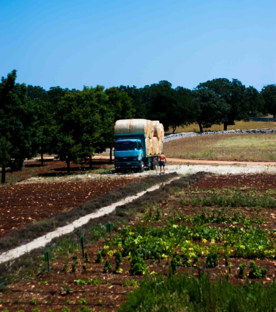 Фото Victor Country Hotel