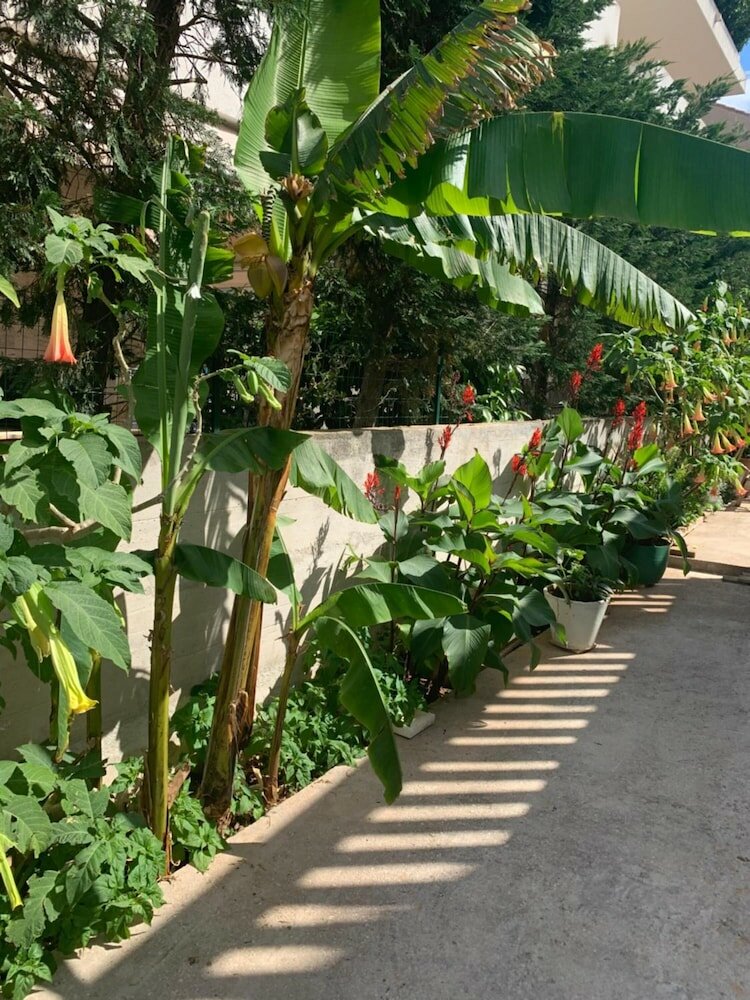 Фото Aida Apartments and Rooms