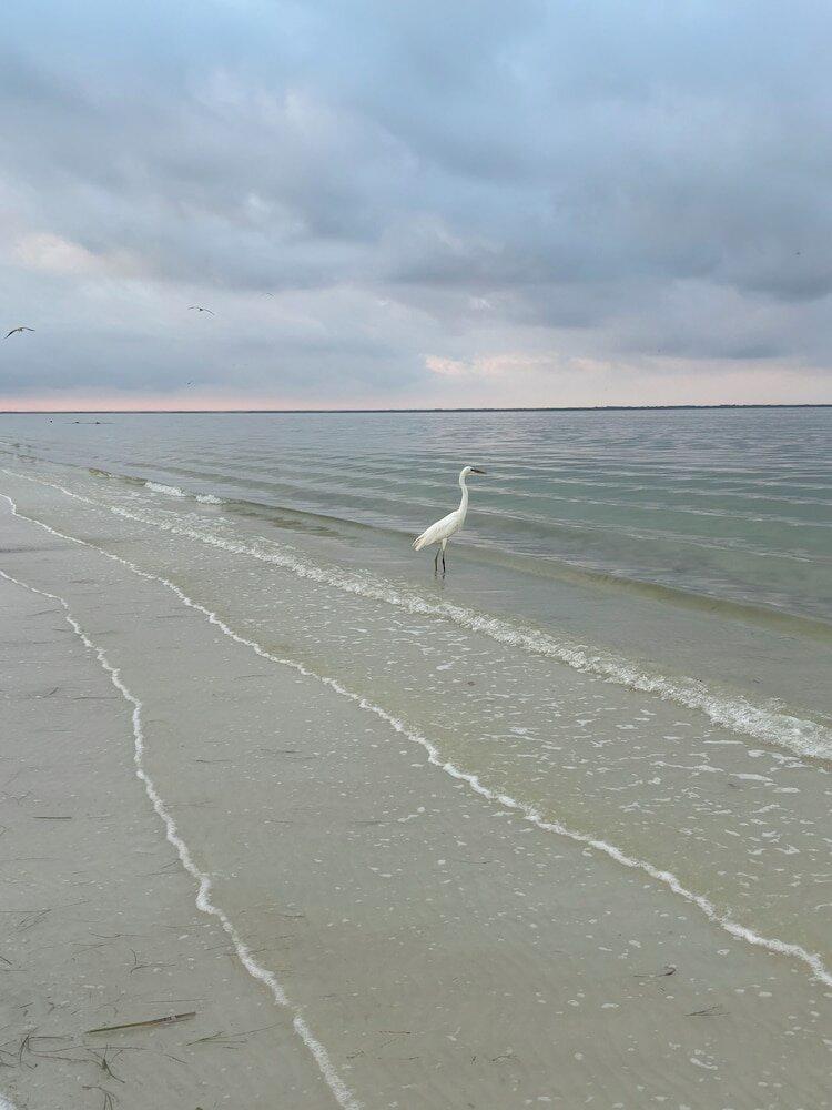 Фото La Diosa Kali Beach Front Hotel