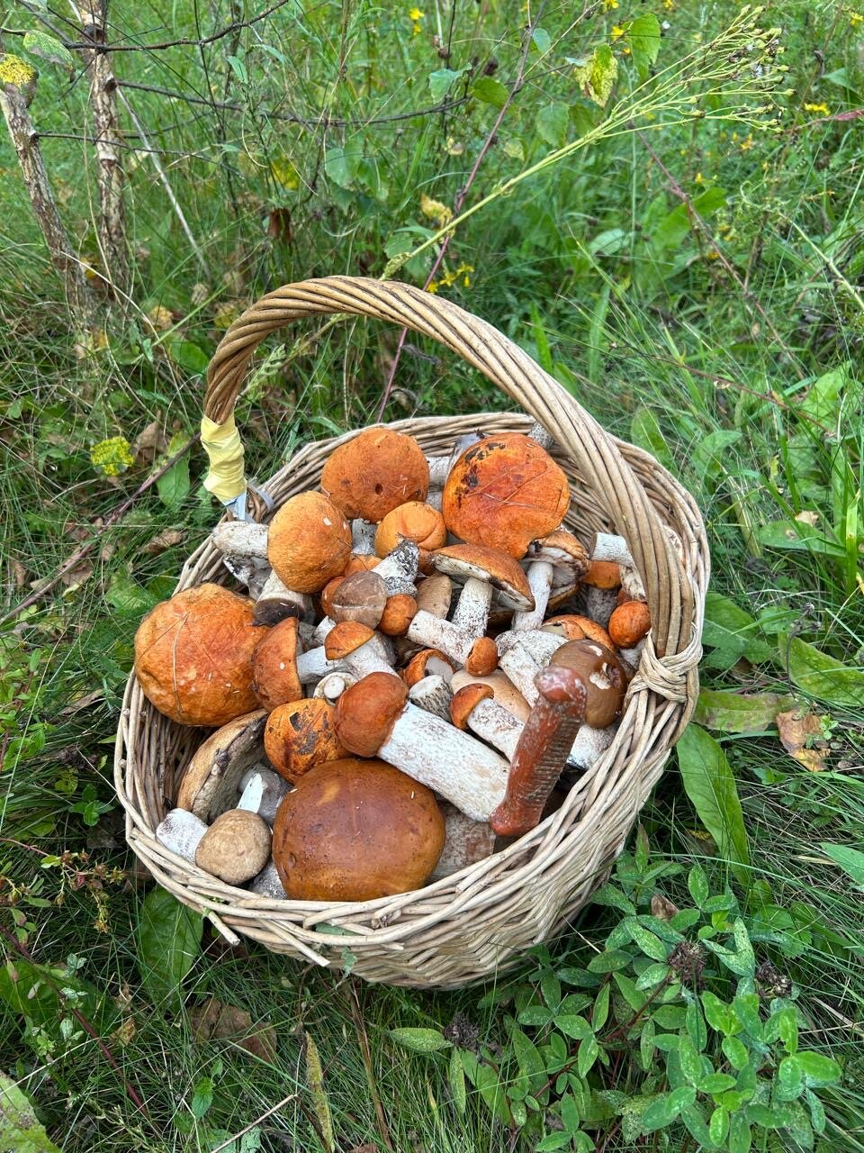 Фото Старый Мултан