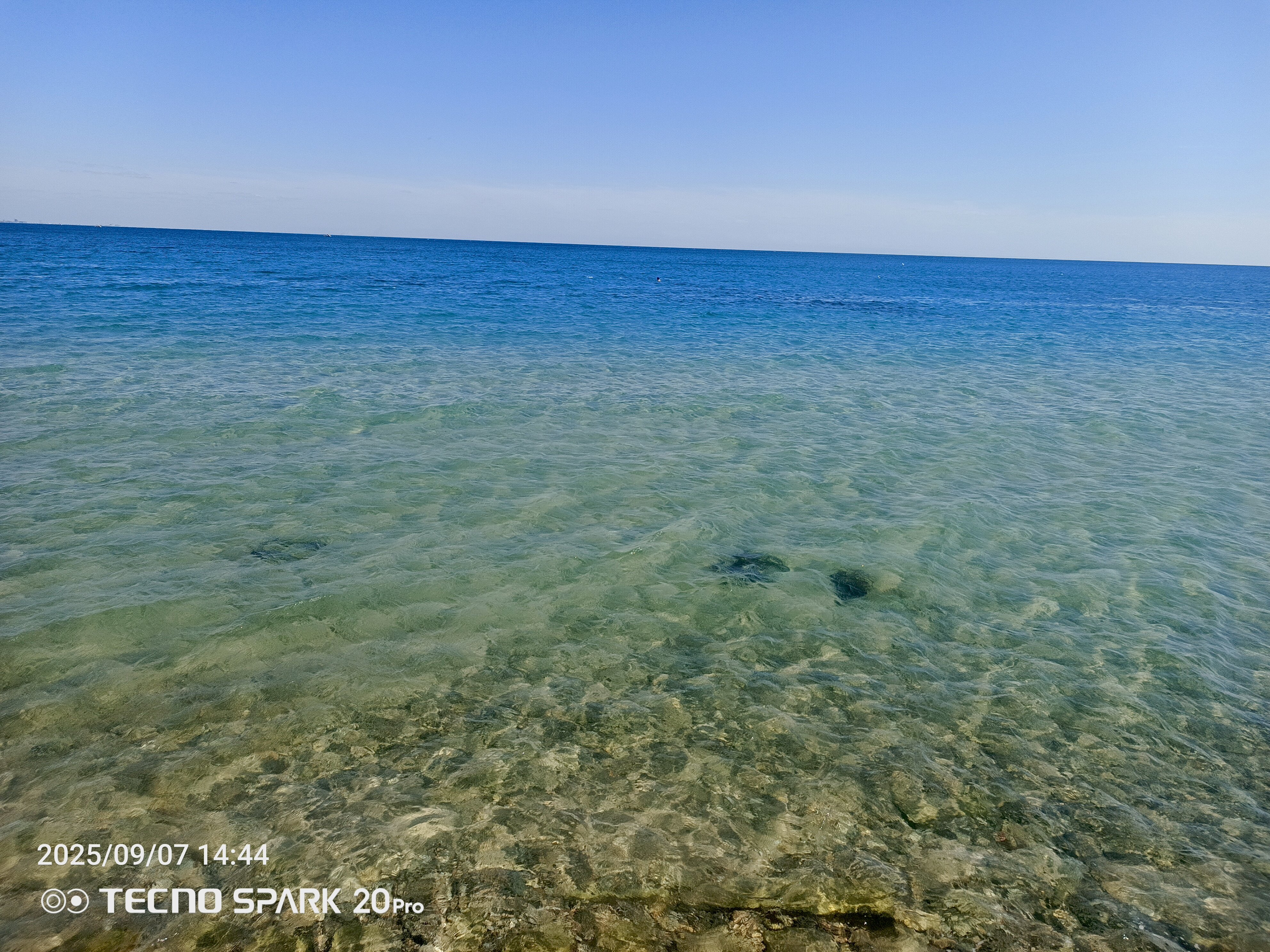 Фото Маринер