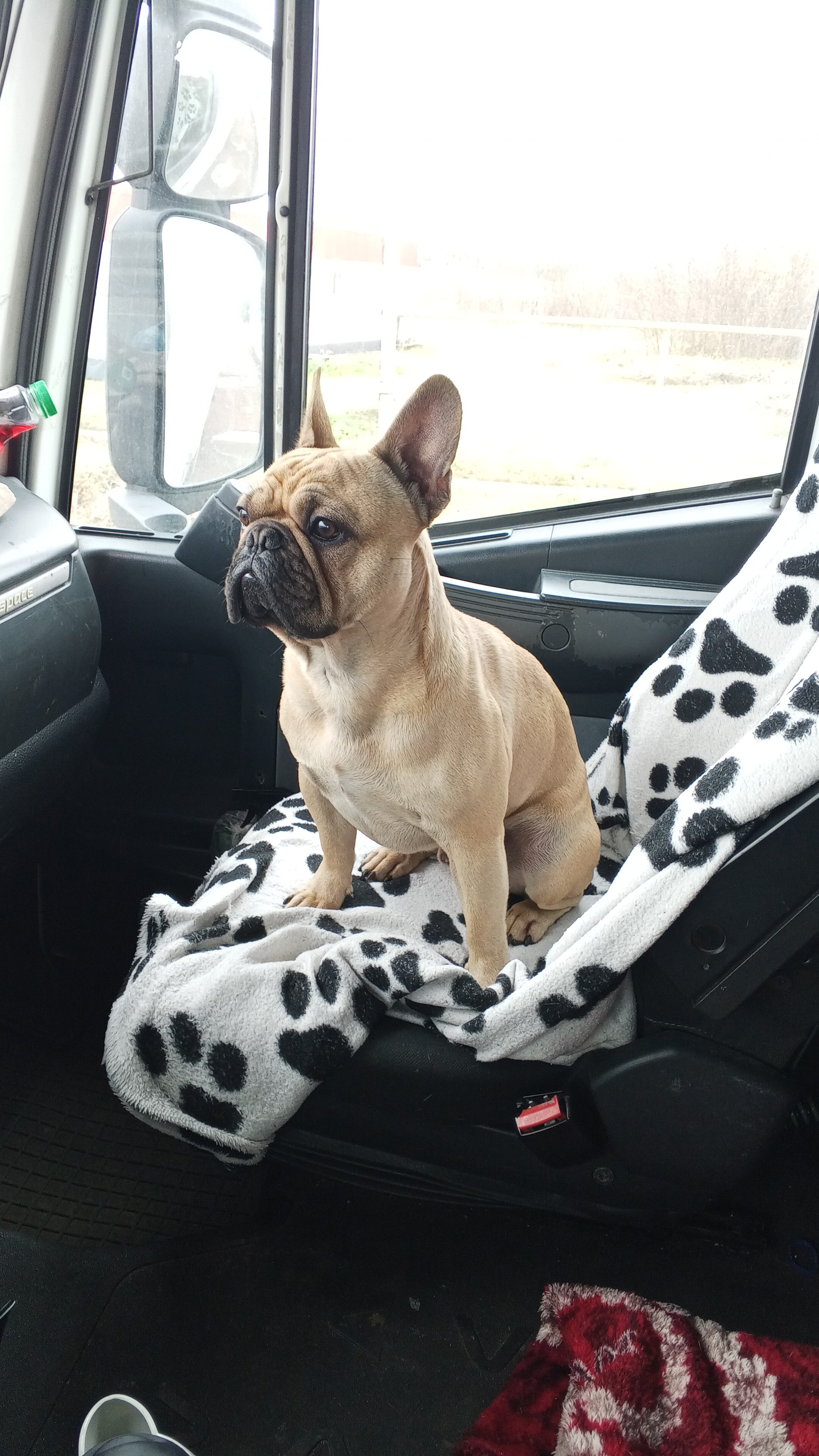 Фото Бостон