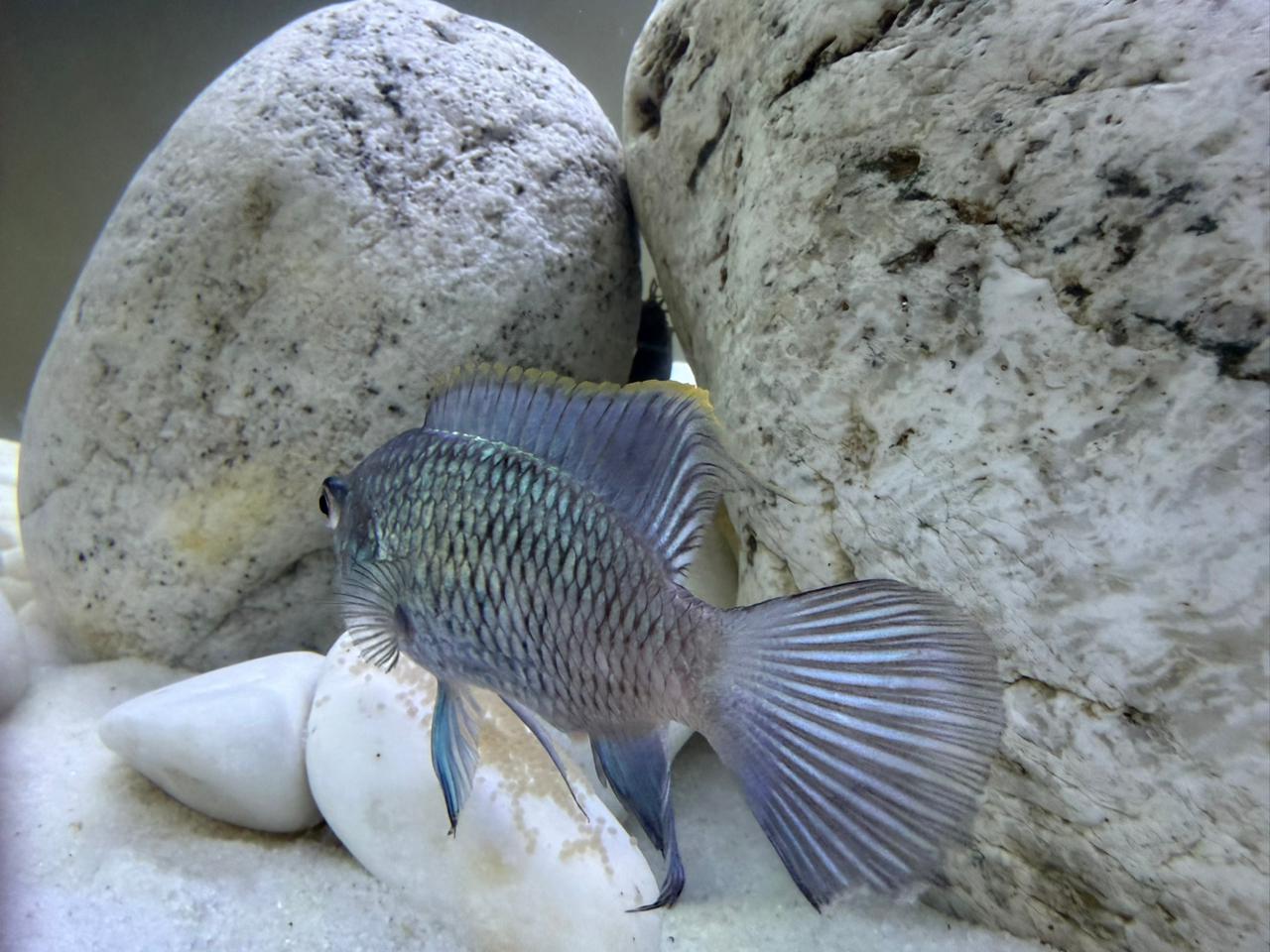 Фото ГК Бригантина