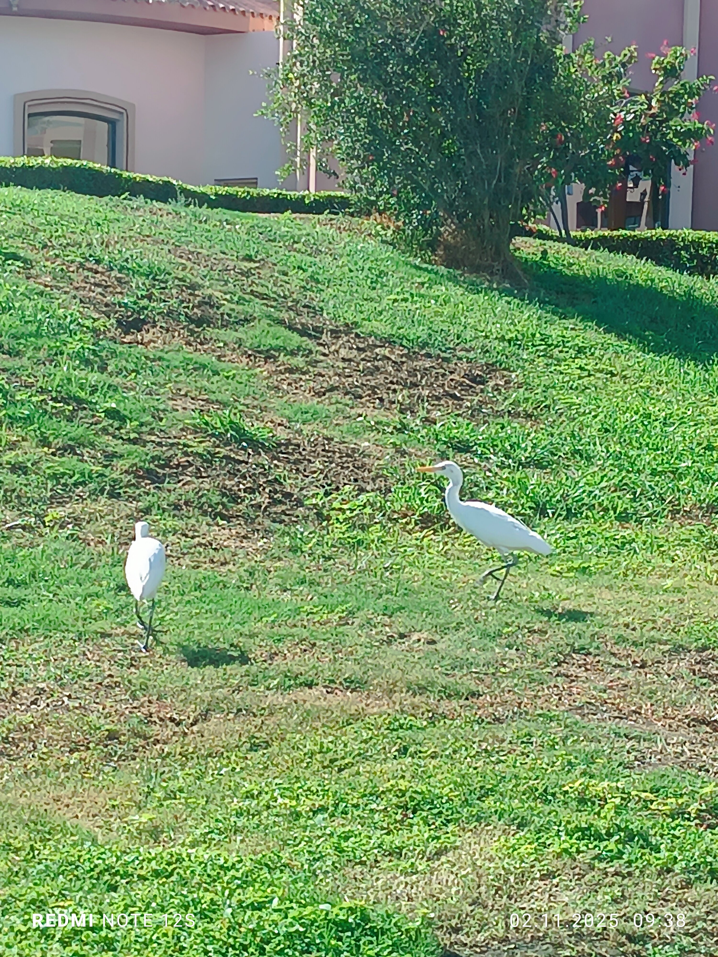 Фото Parrotel Aqua Park Resort