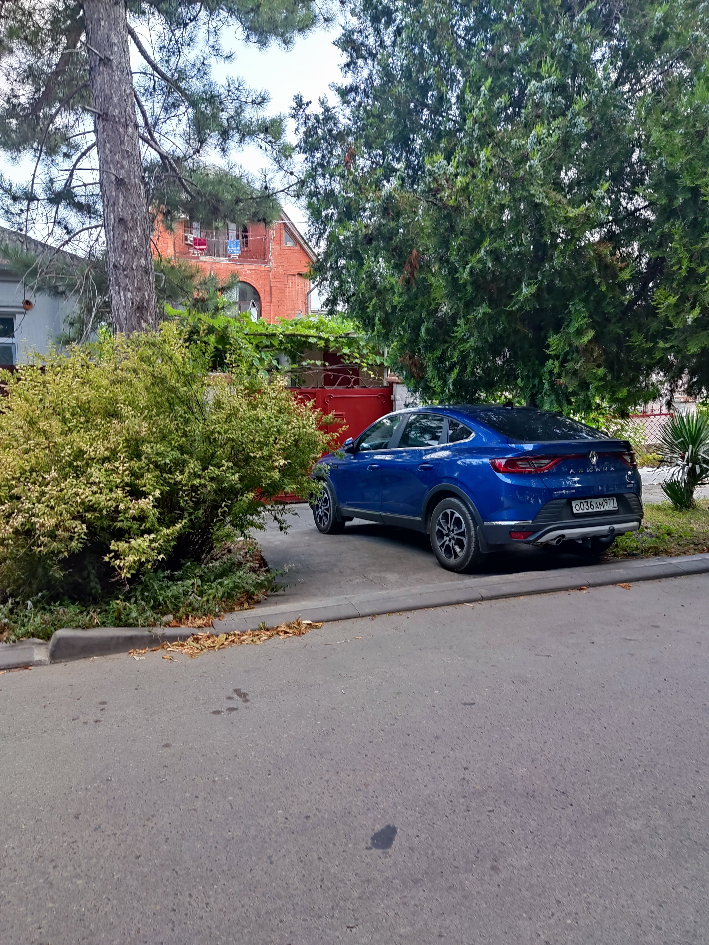 Фото Уютный