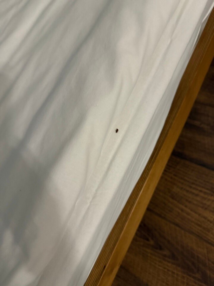 Фото Изумруд