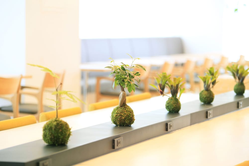 Фото Richmond Hotel Himeji