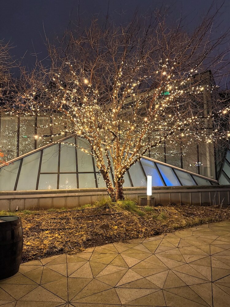 Фото Tivoli Hotel