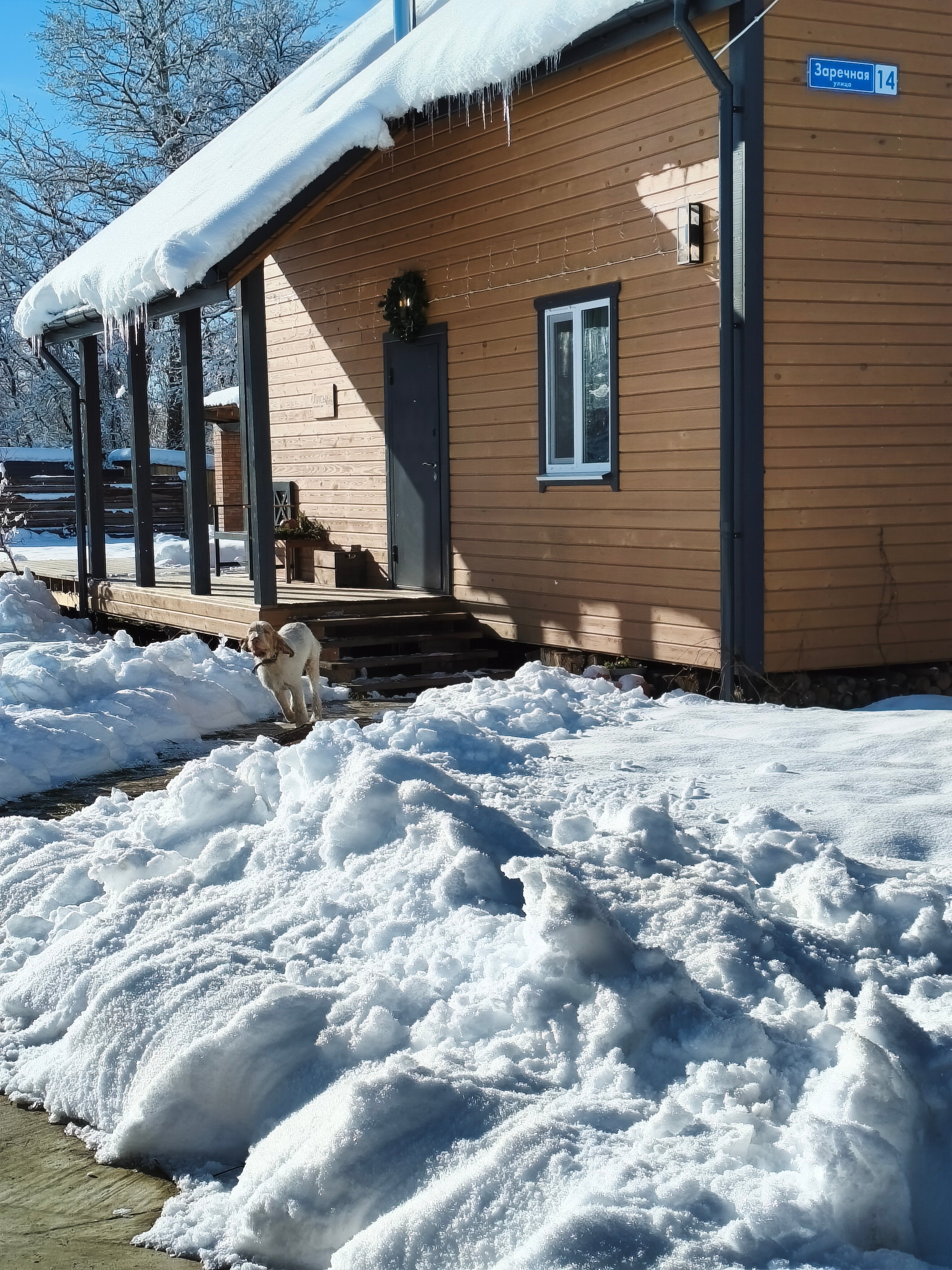 Фото Гостевой дом Лисы