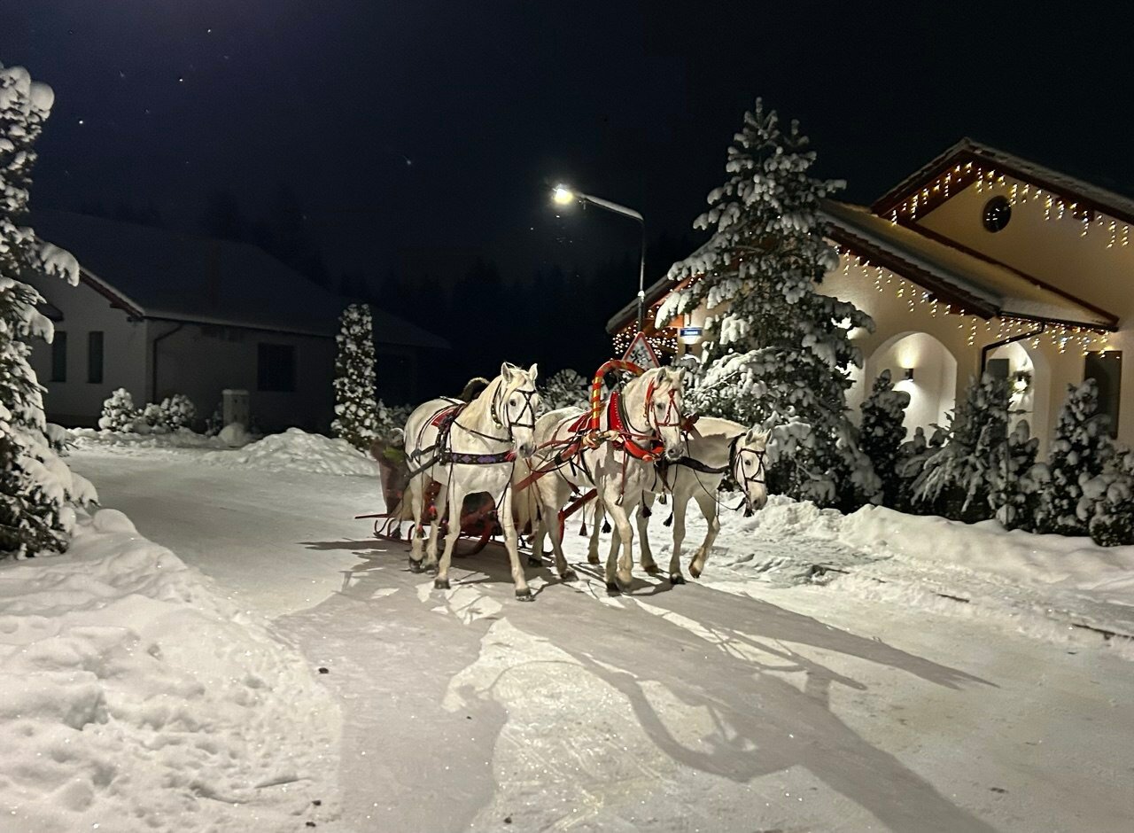 Фото Гостиница Спас-Каменка