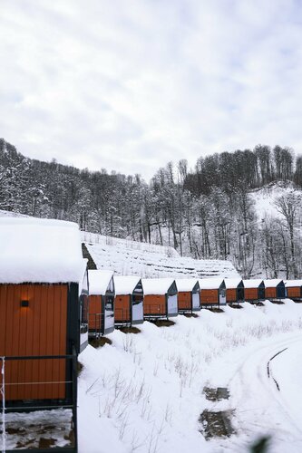 Глэмпинг Эндемик в Эсто-Садке