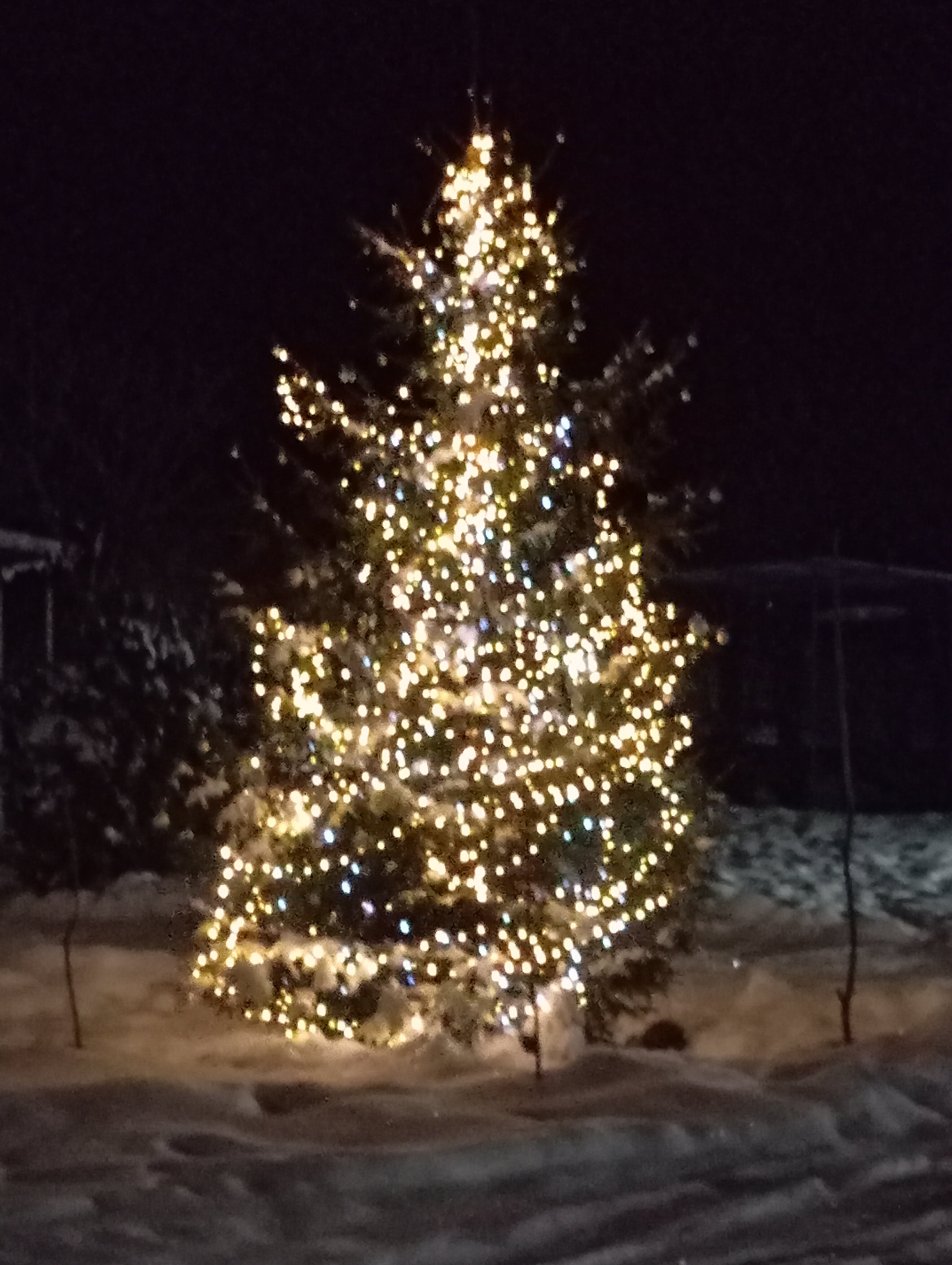 Фото Гостевой Дом Нахалёнок