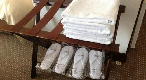 Гостиница Hotel Petit Riviere Karuizawa в Каруидзаве