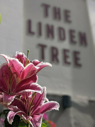Гостиница The Linden Tree в Глостере