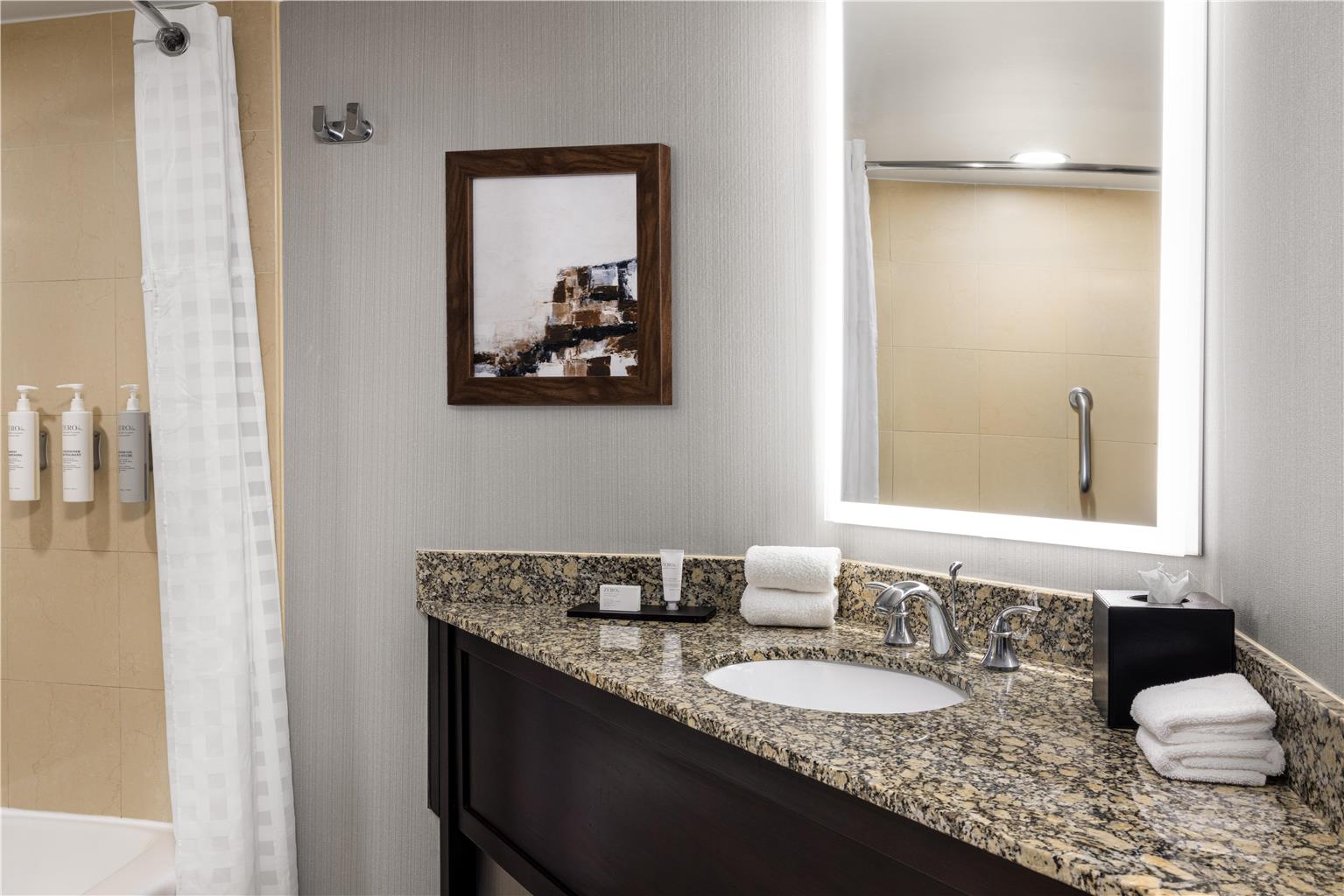 Фото Embassy Suites Hotel Birmingham