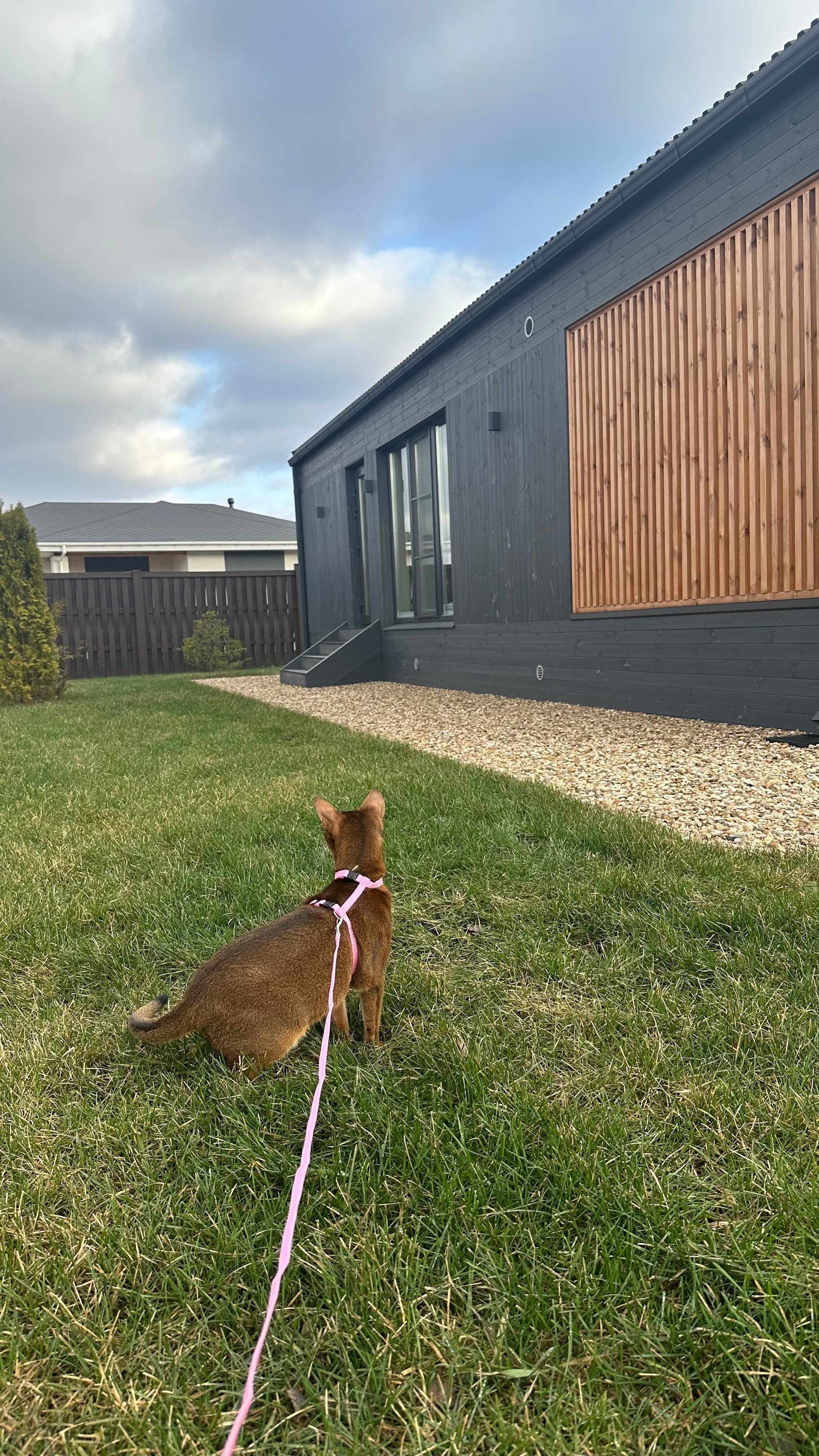 Фото Dacha Beketovo