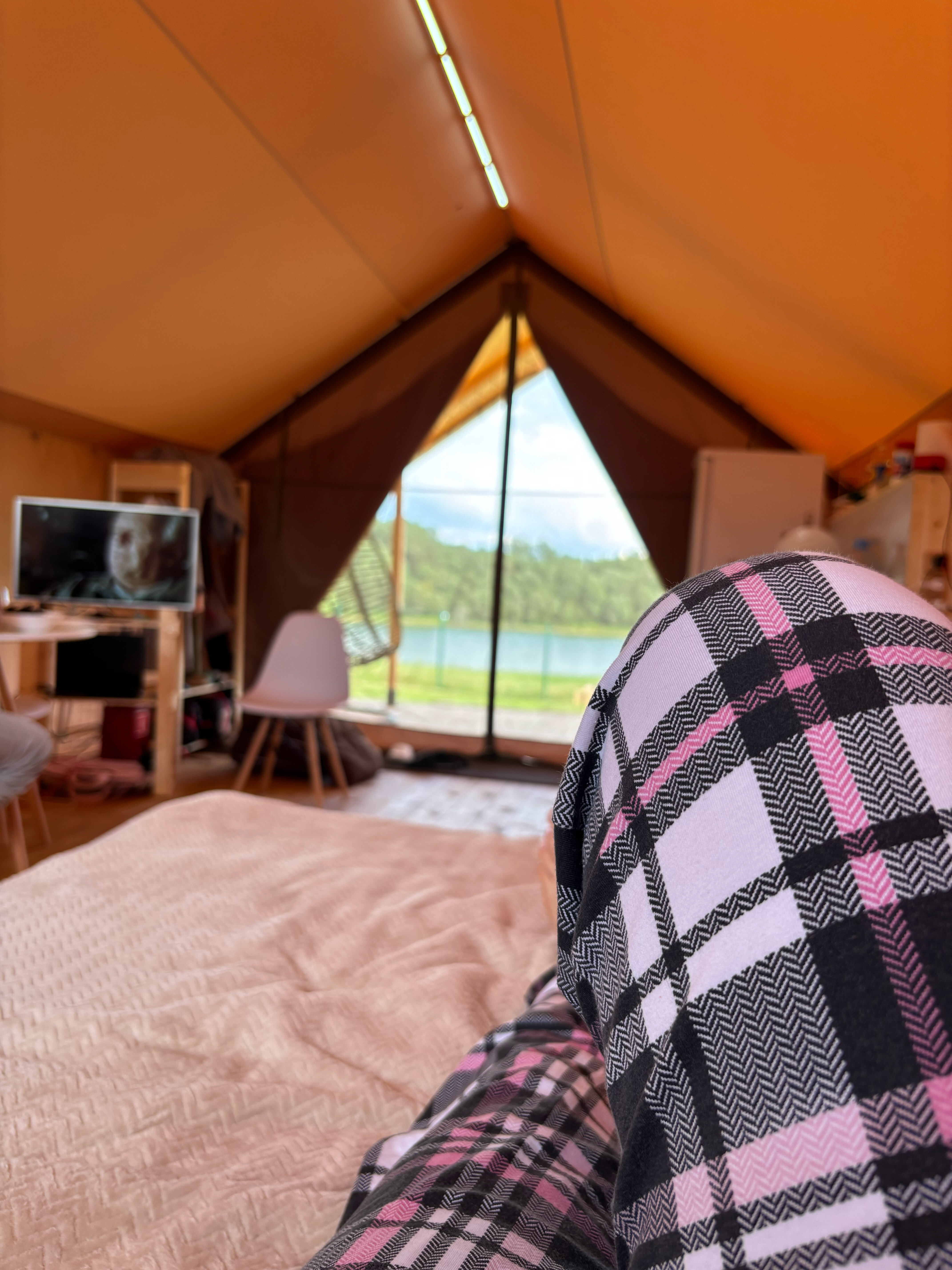 Фото Птички