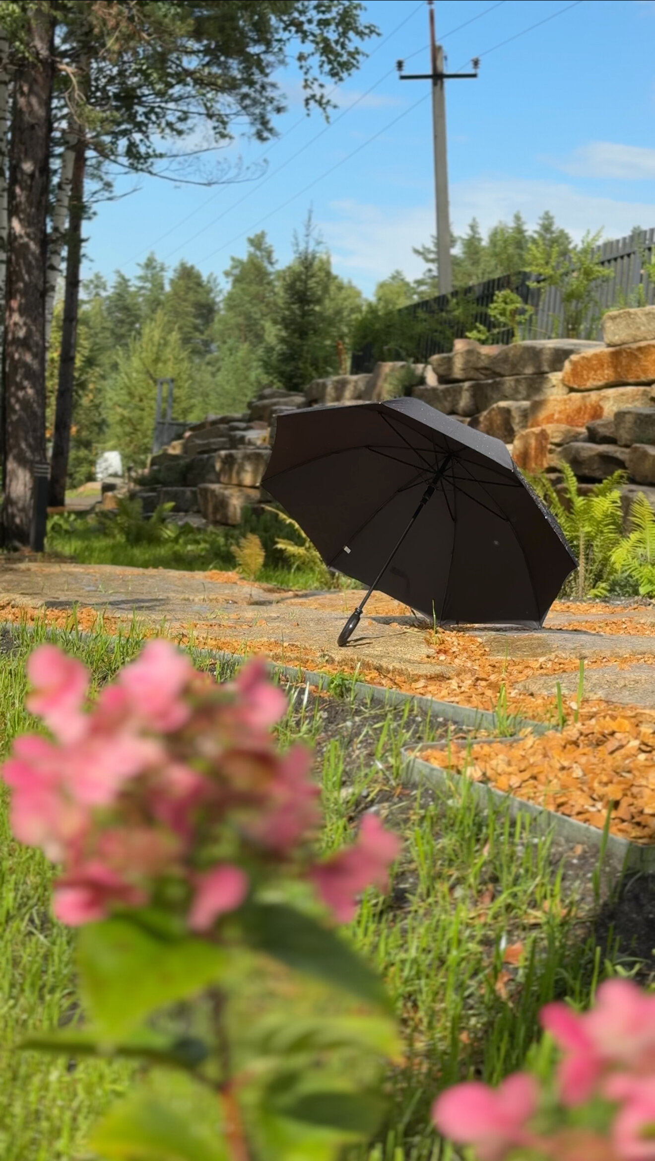 Фото Forest Green