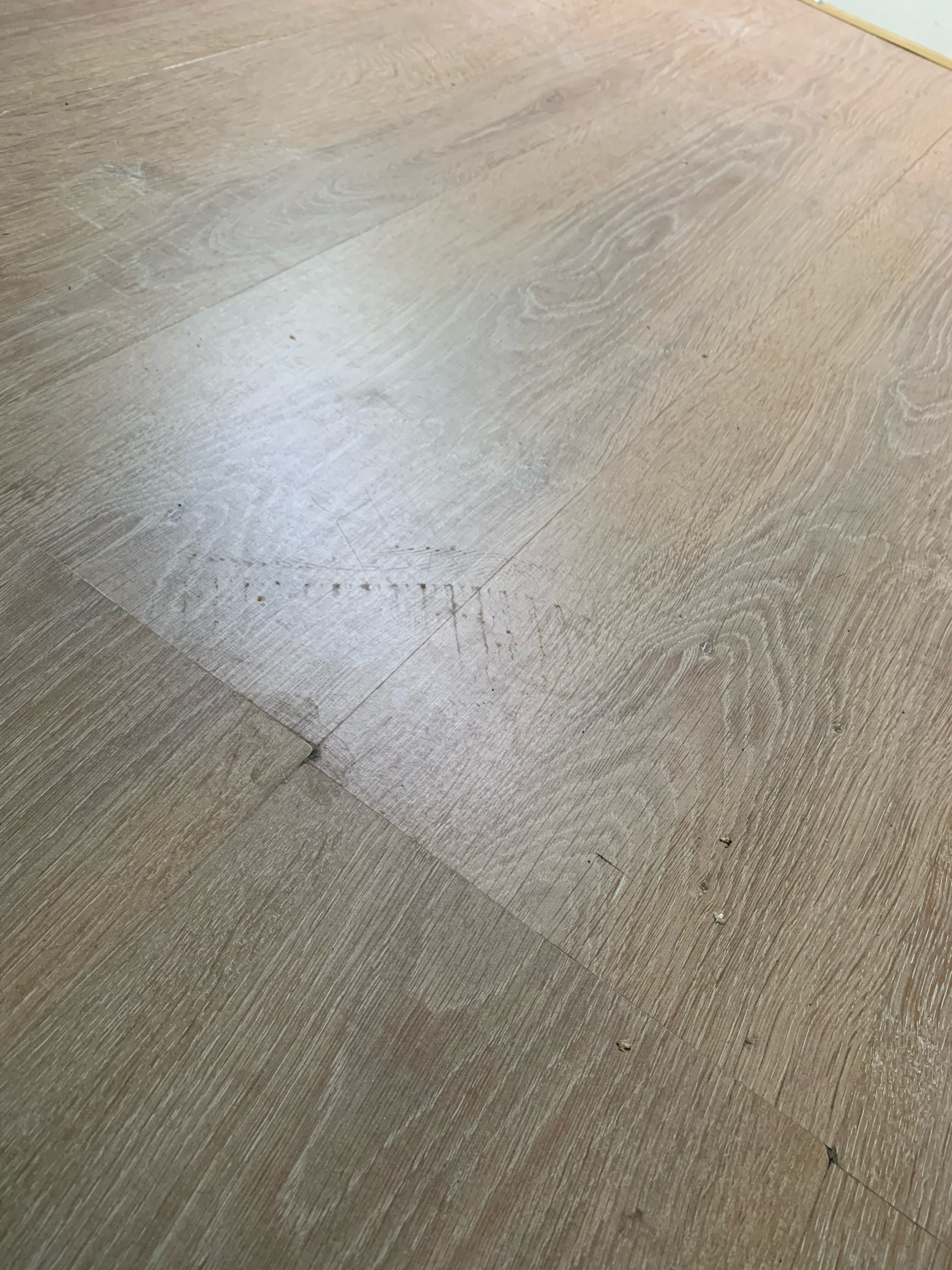 Фото Добрый Финн