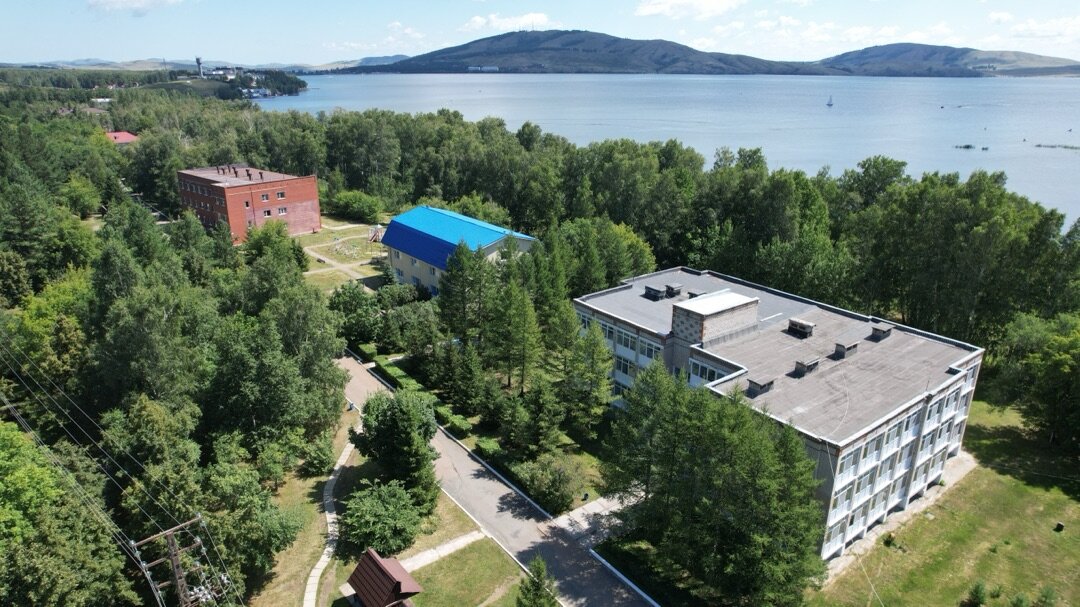 Фото Берёзки