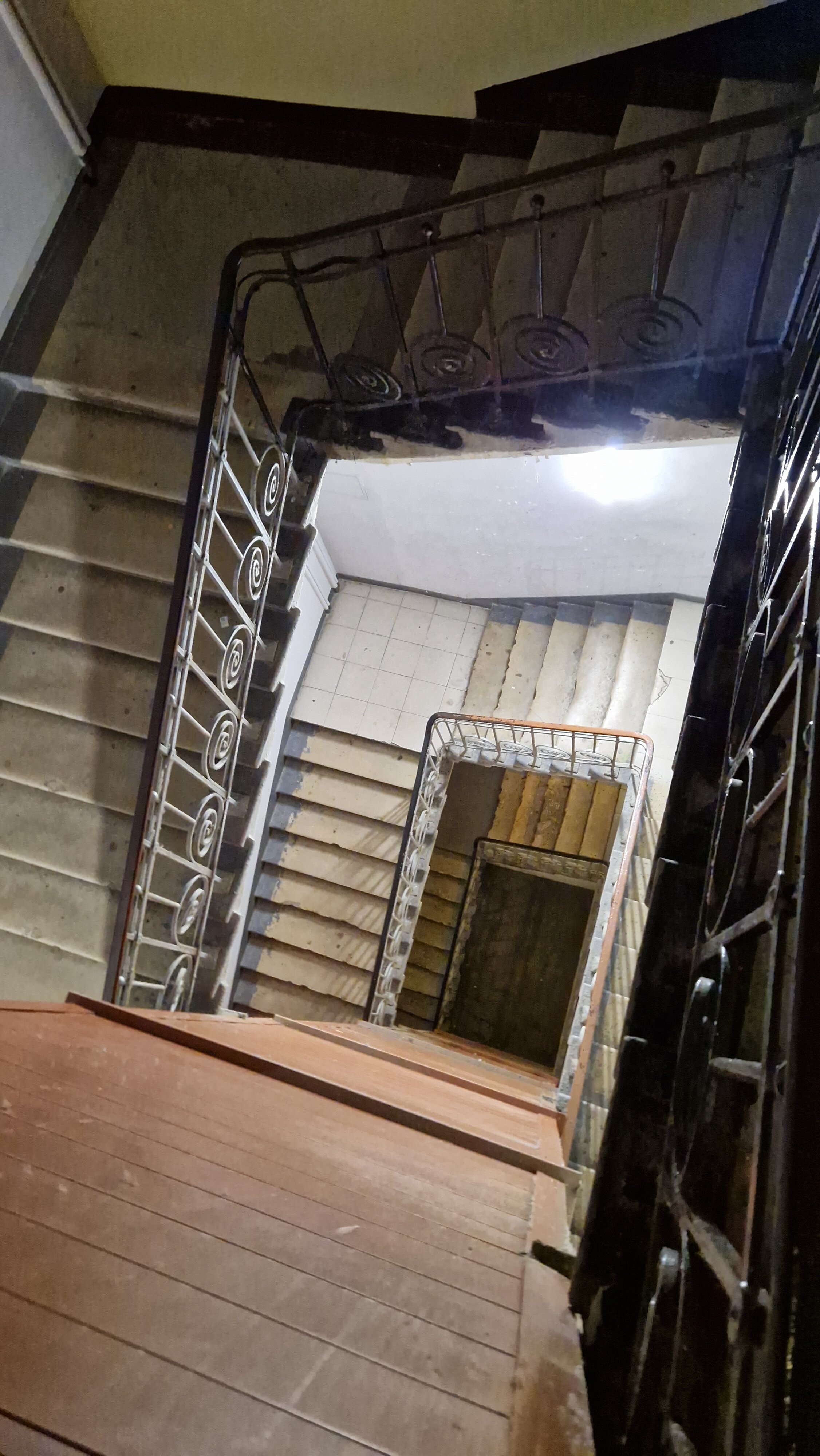 Фото 7 Слонов