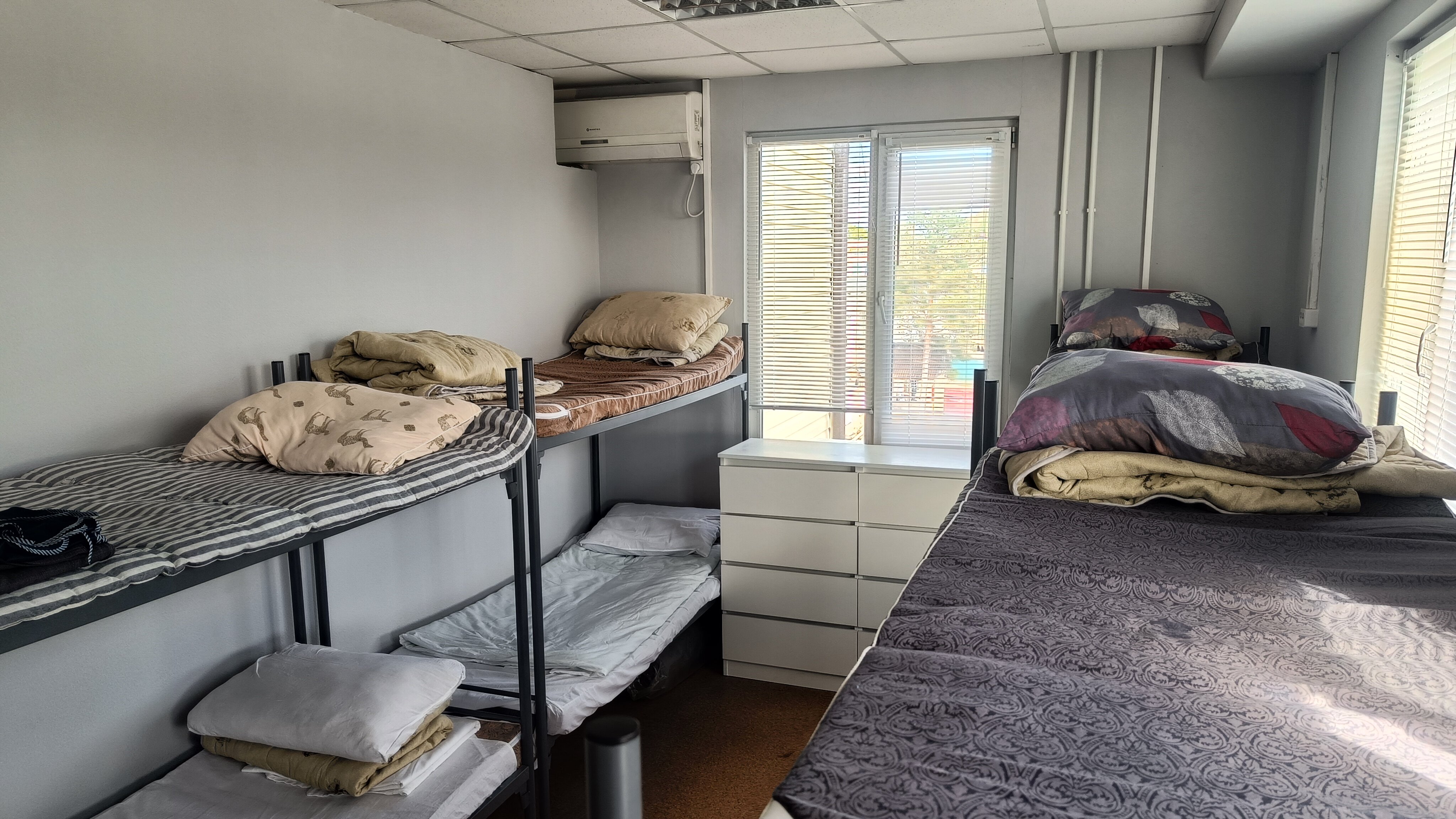 Фото Живитут