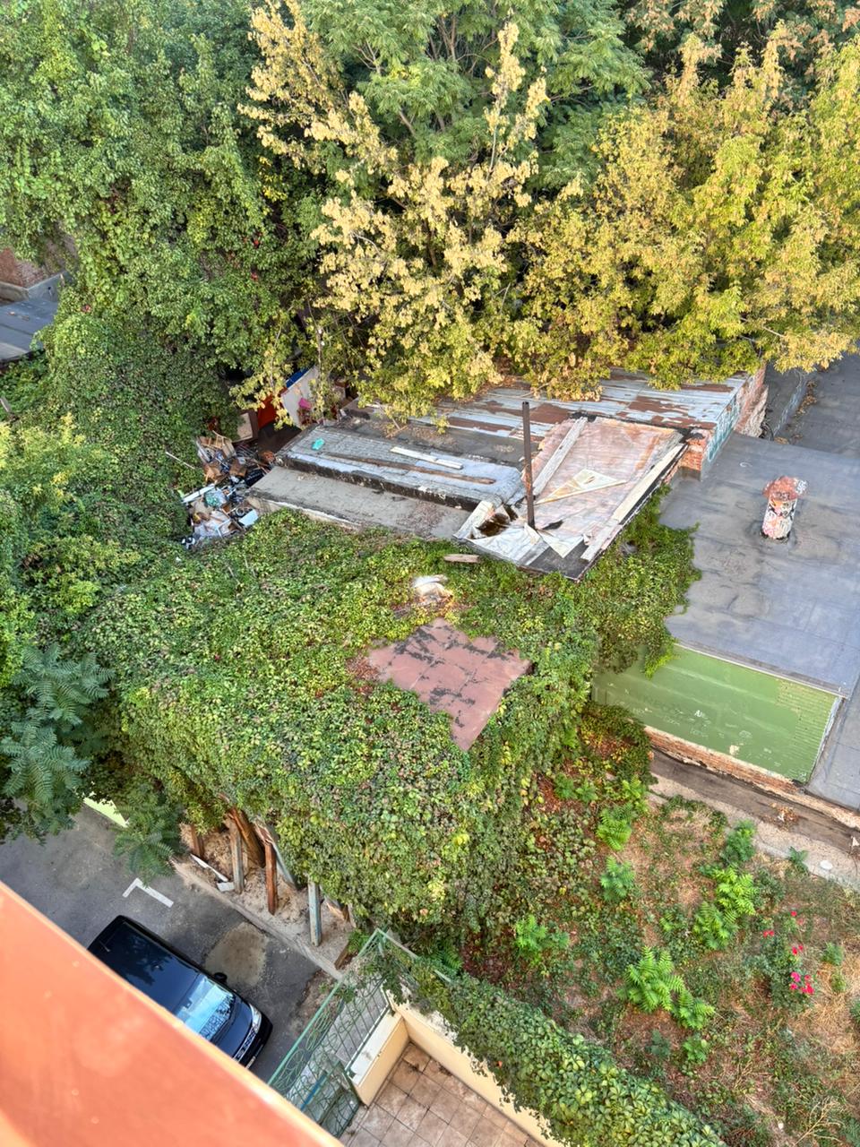 Фото Березовый двор