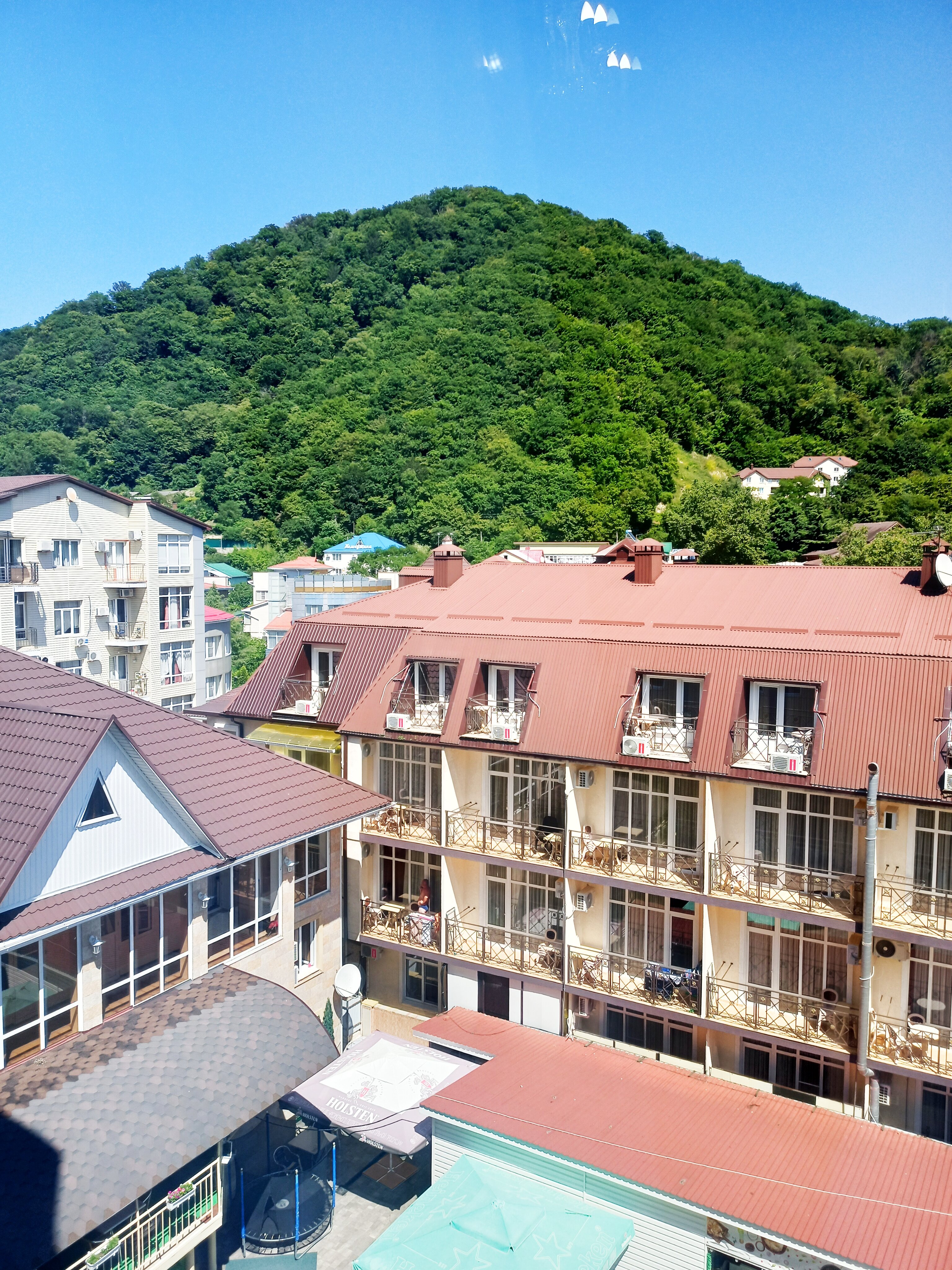 Фото Кипарис