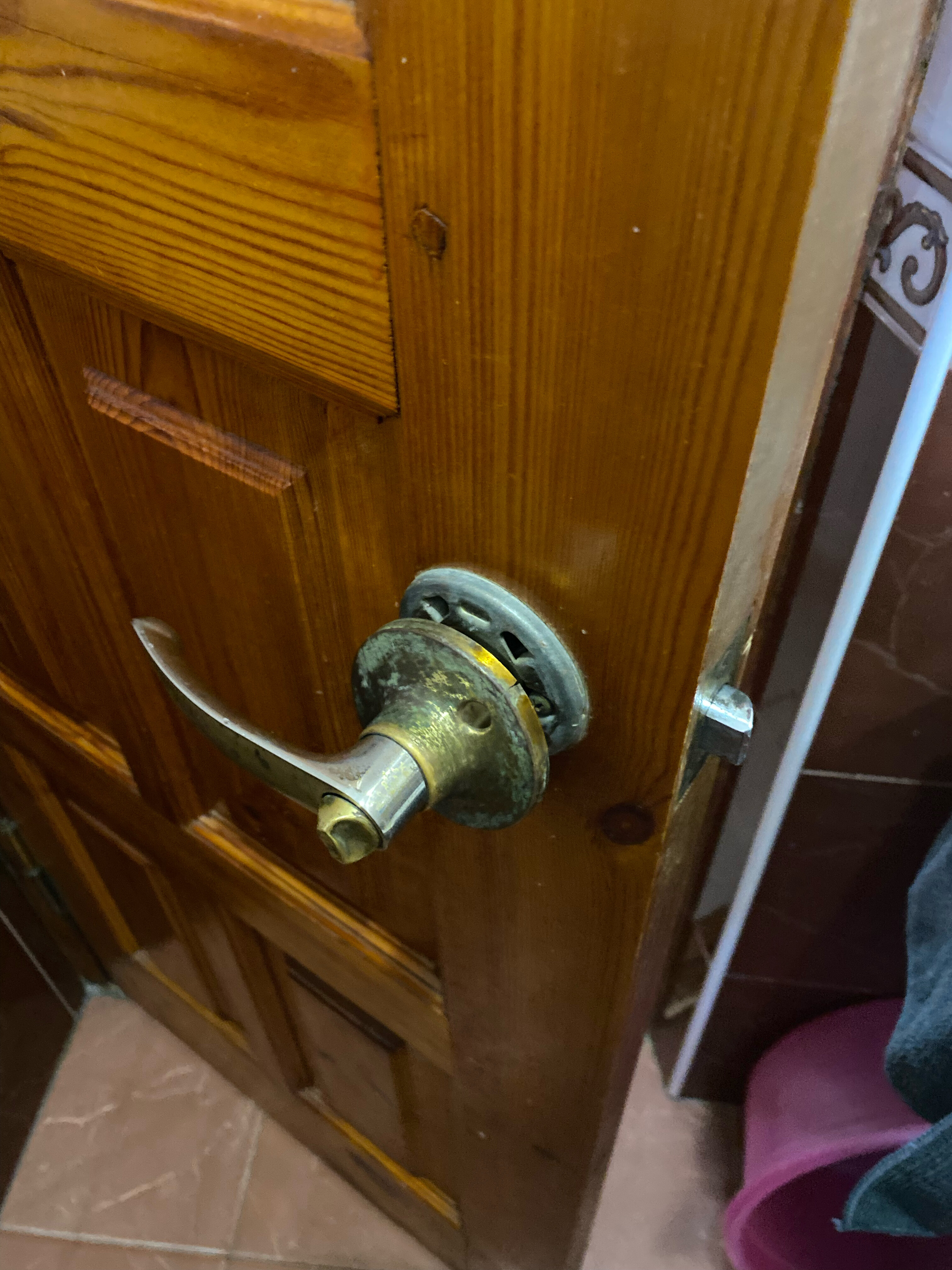 Фото У Лизы