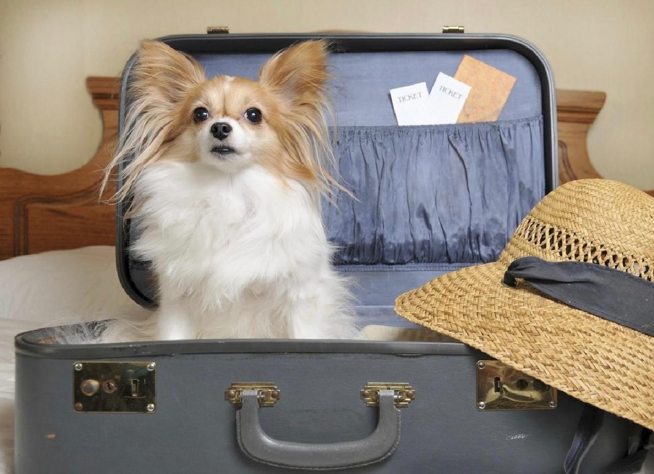 Фото Времена Года Village