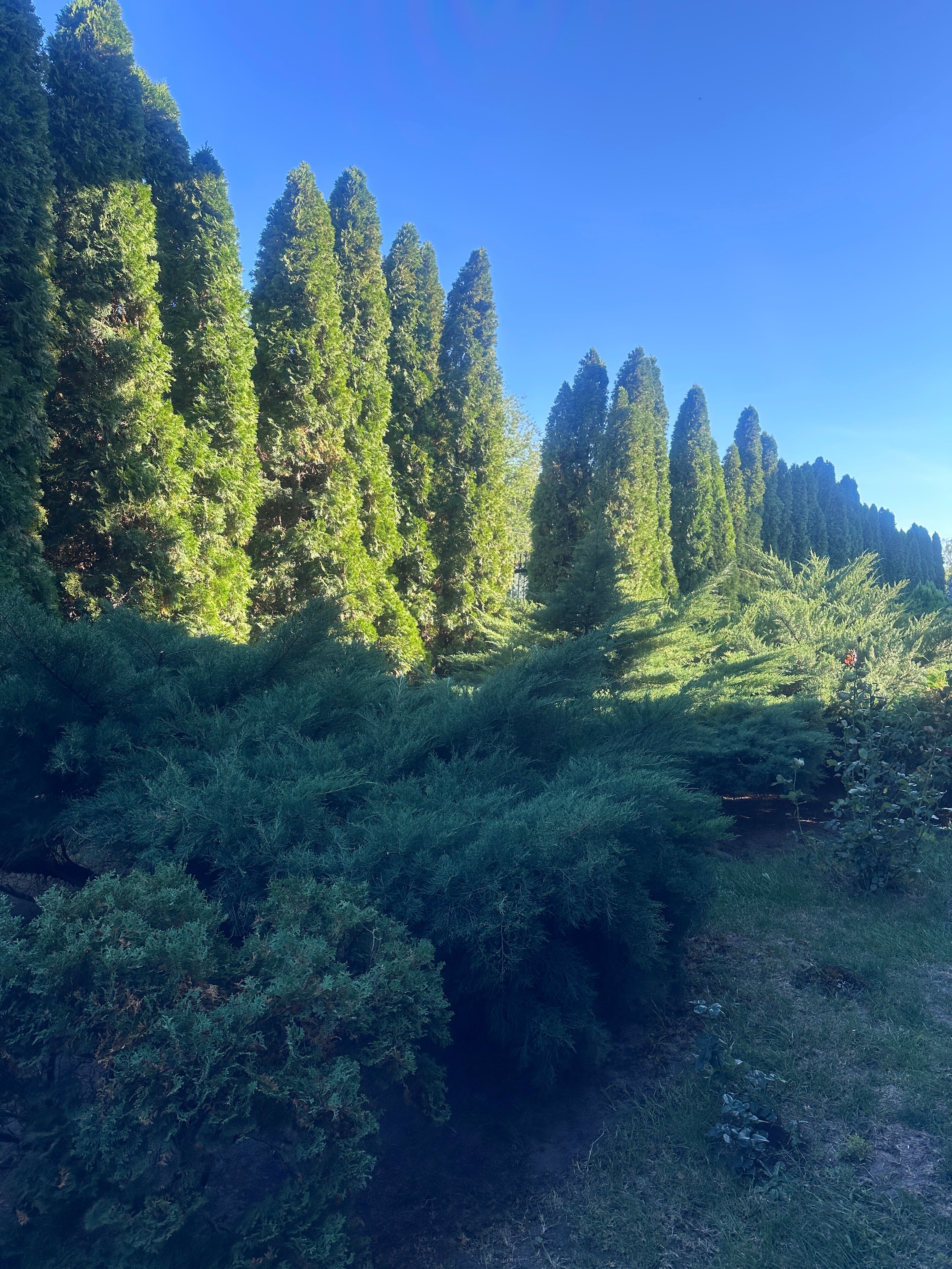 Фото Голубое озеро