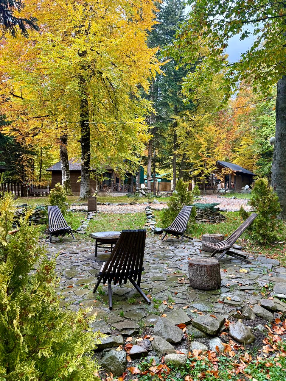 Фото Liberty Village