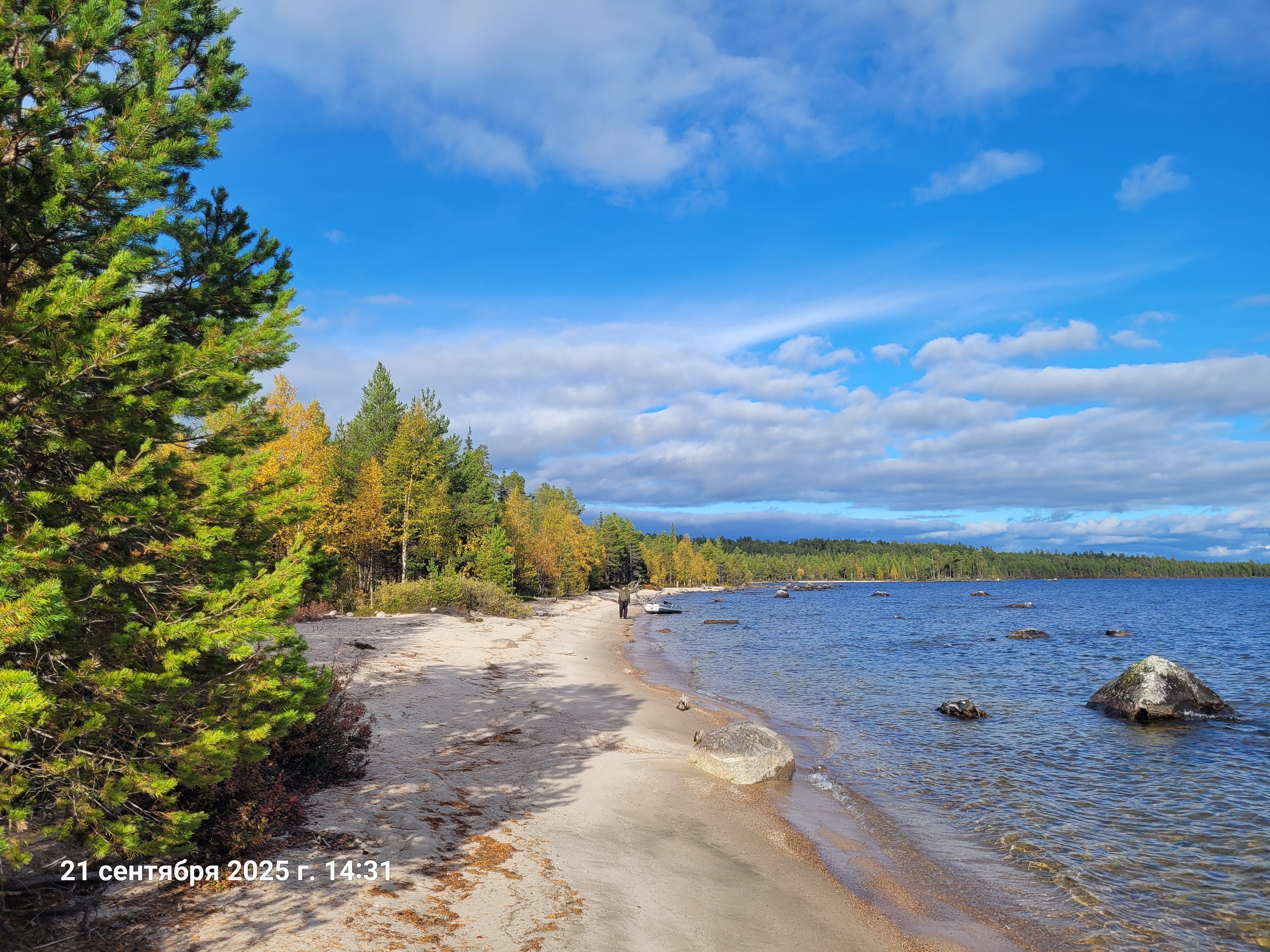 Фото Лось&Мох