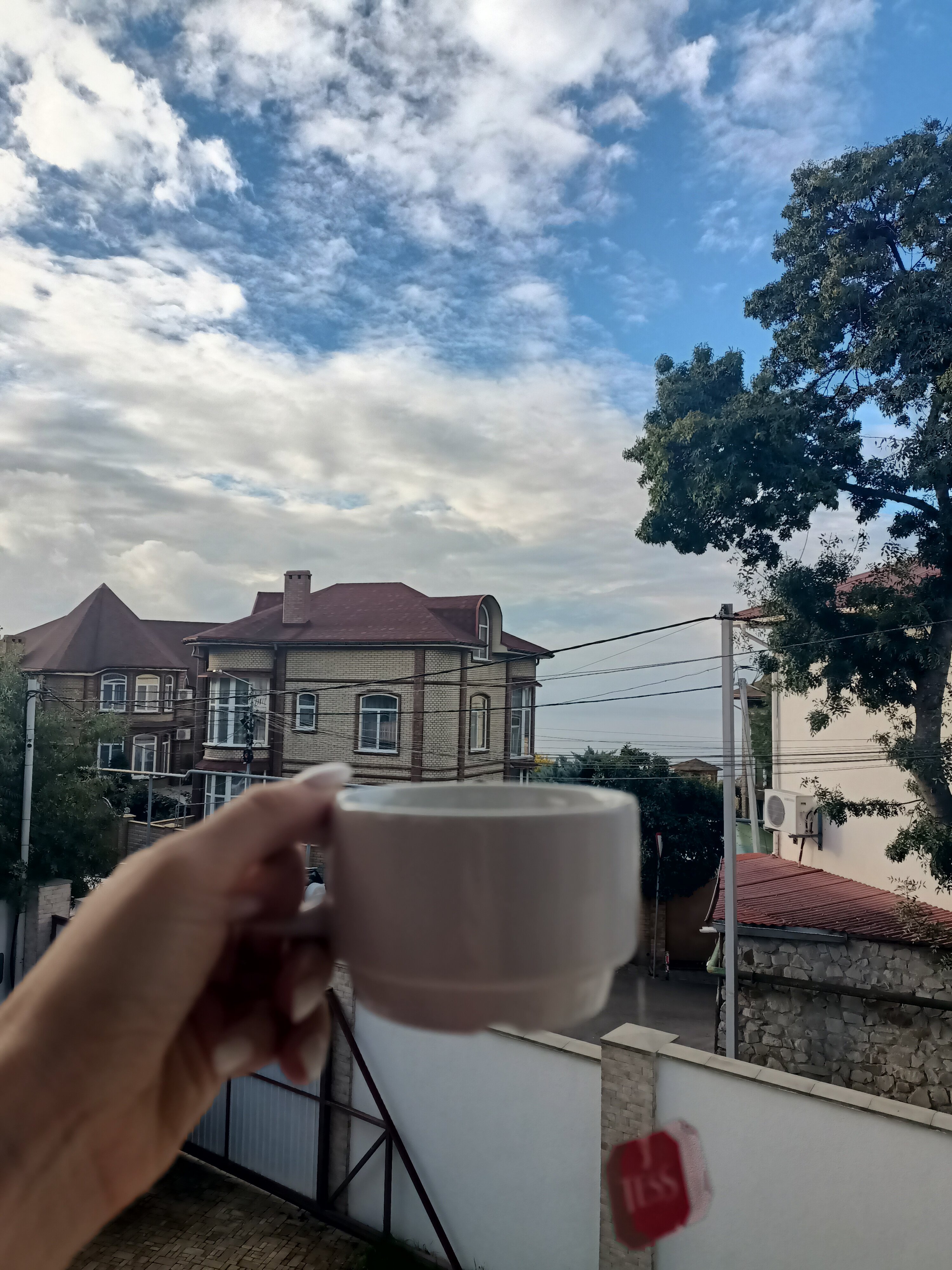 Фото Флорида