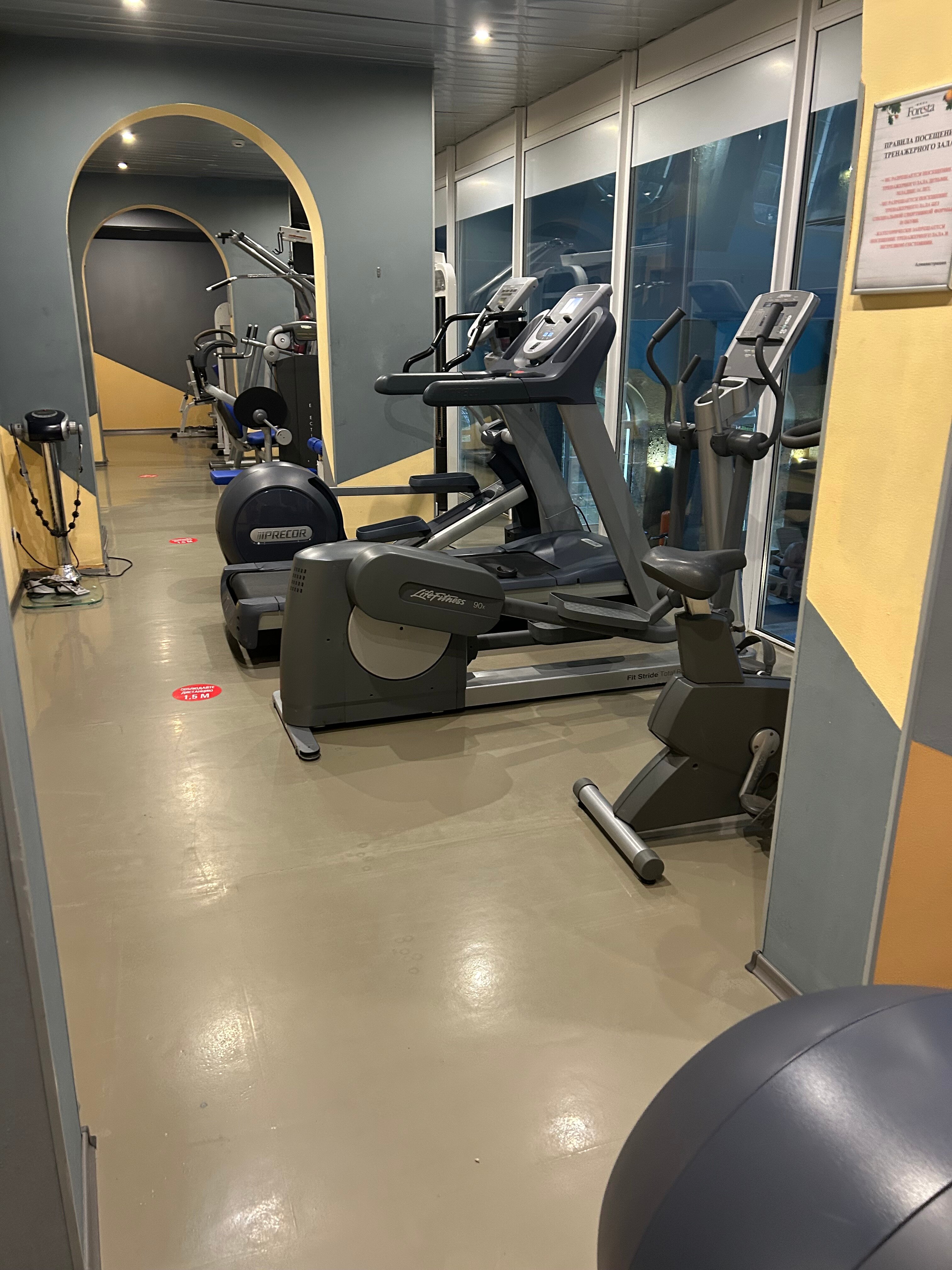 Фото Фореста Фестиваль Парк