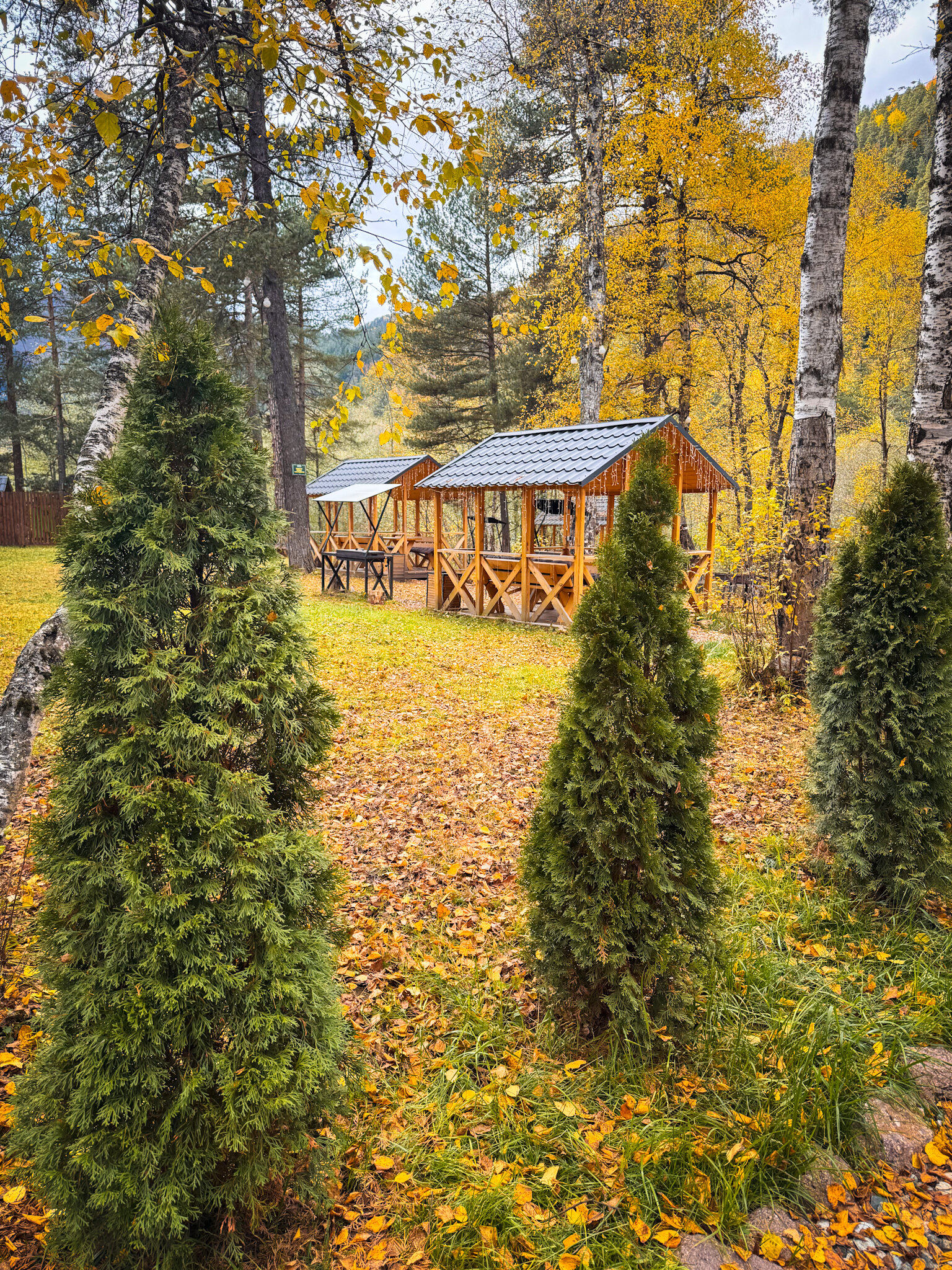 Фото Шале Хвоя