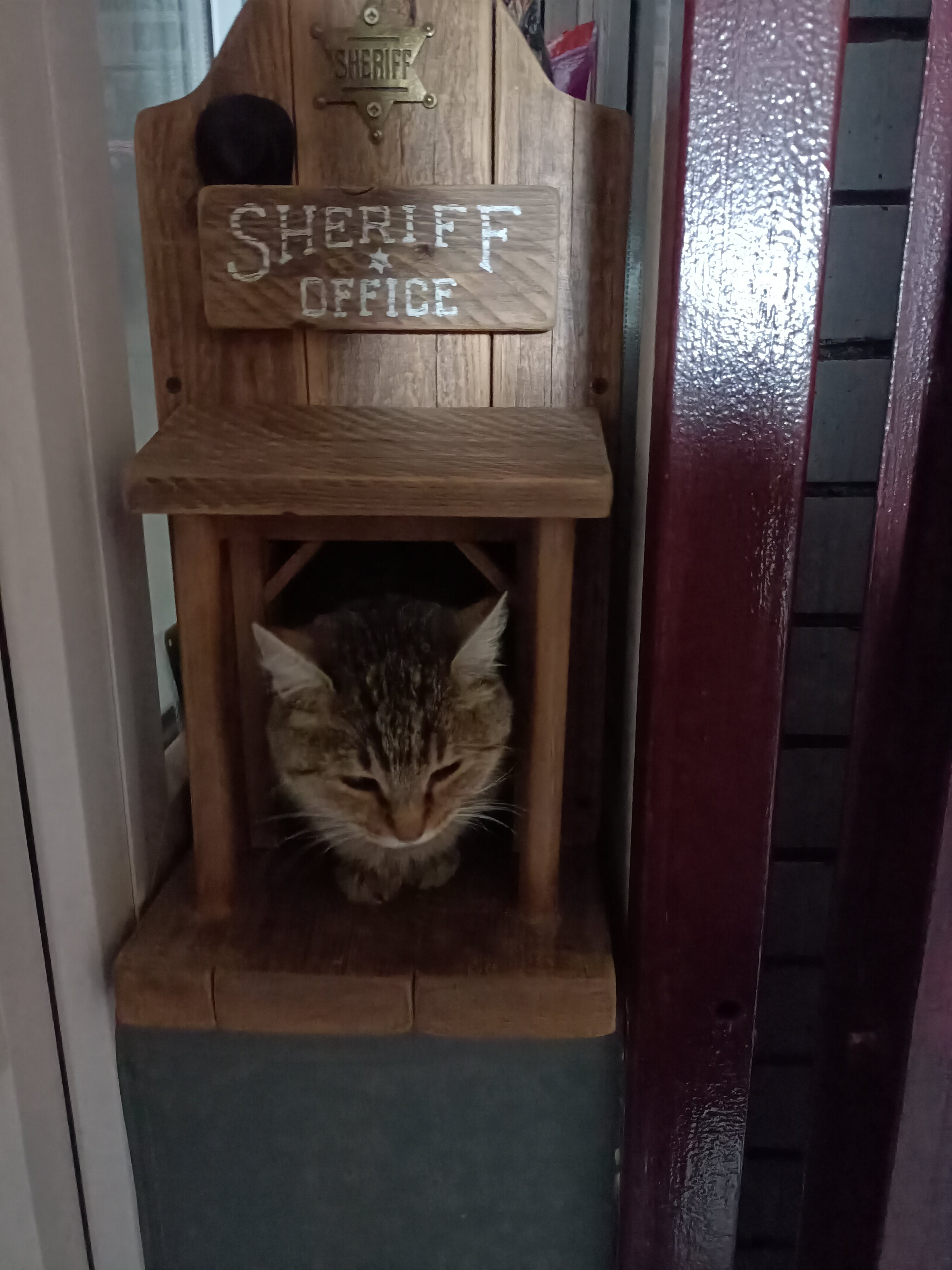 Фото Гостиница Домино