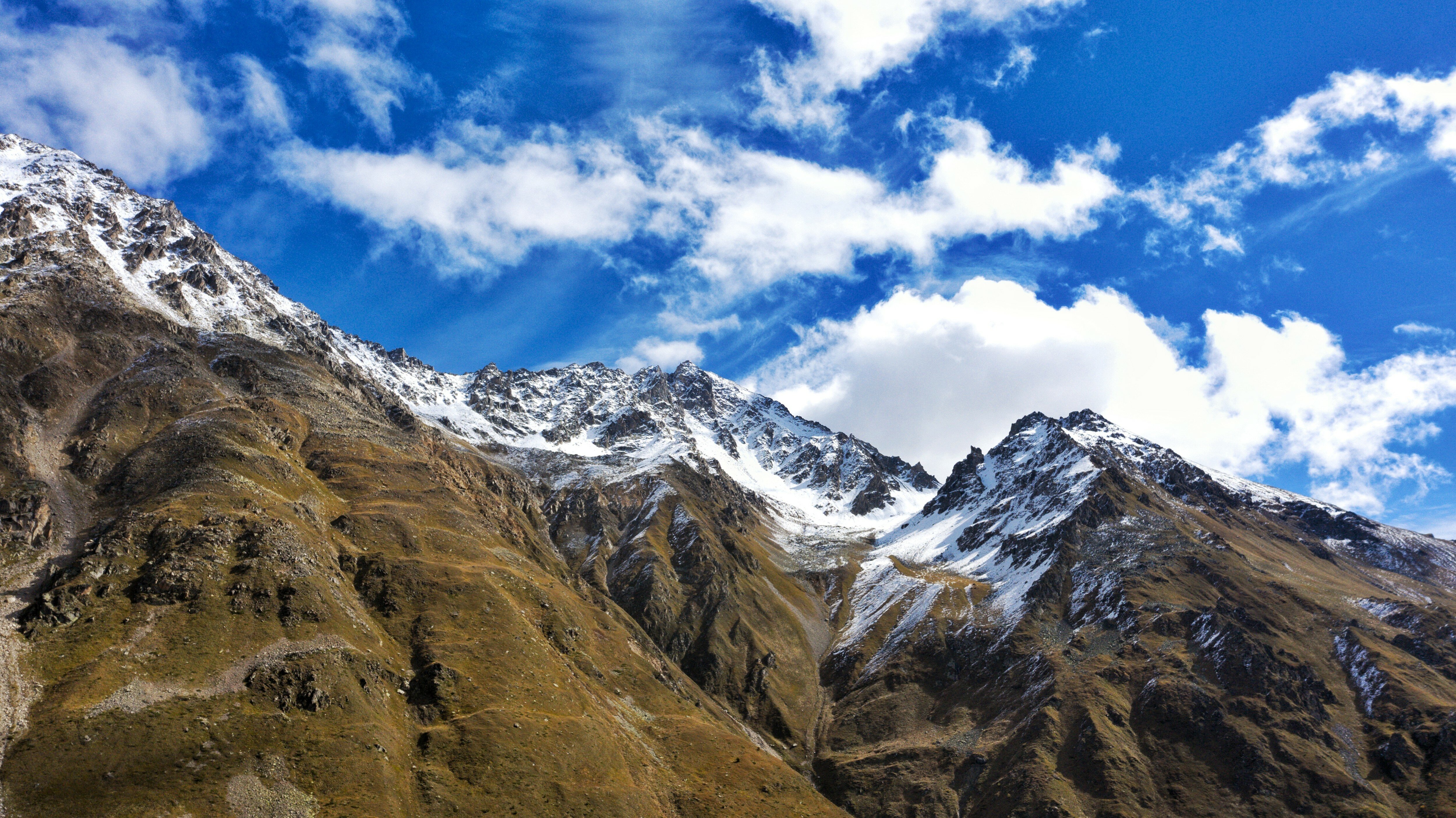 Фото Крокус