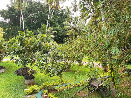 Фото Oreeka - Katunayake Airport Transit Hotels