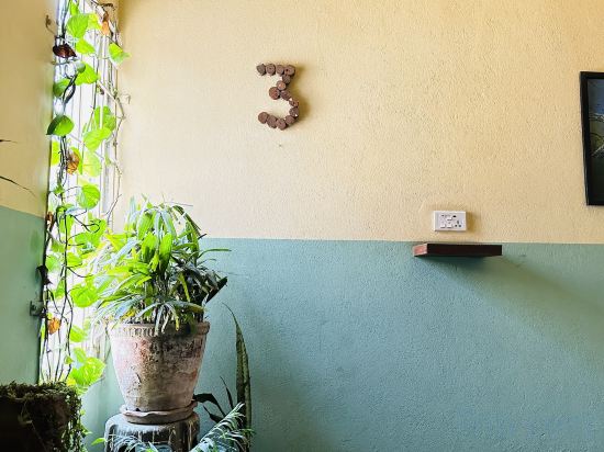 Фото Отель Darwin