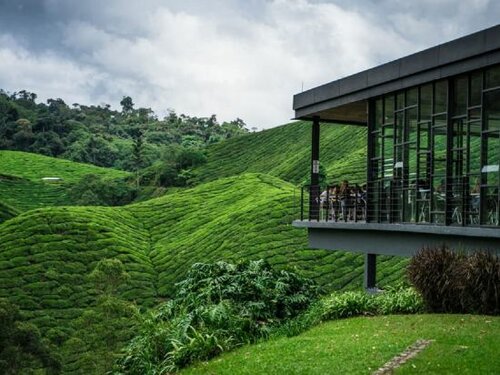 Гостиница Zenith Cameron в Штате Паханг