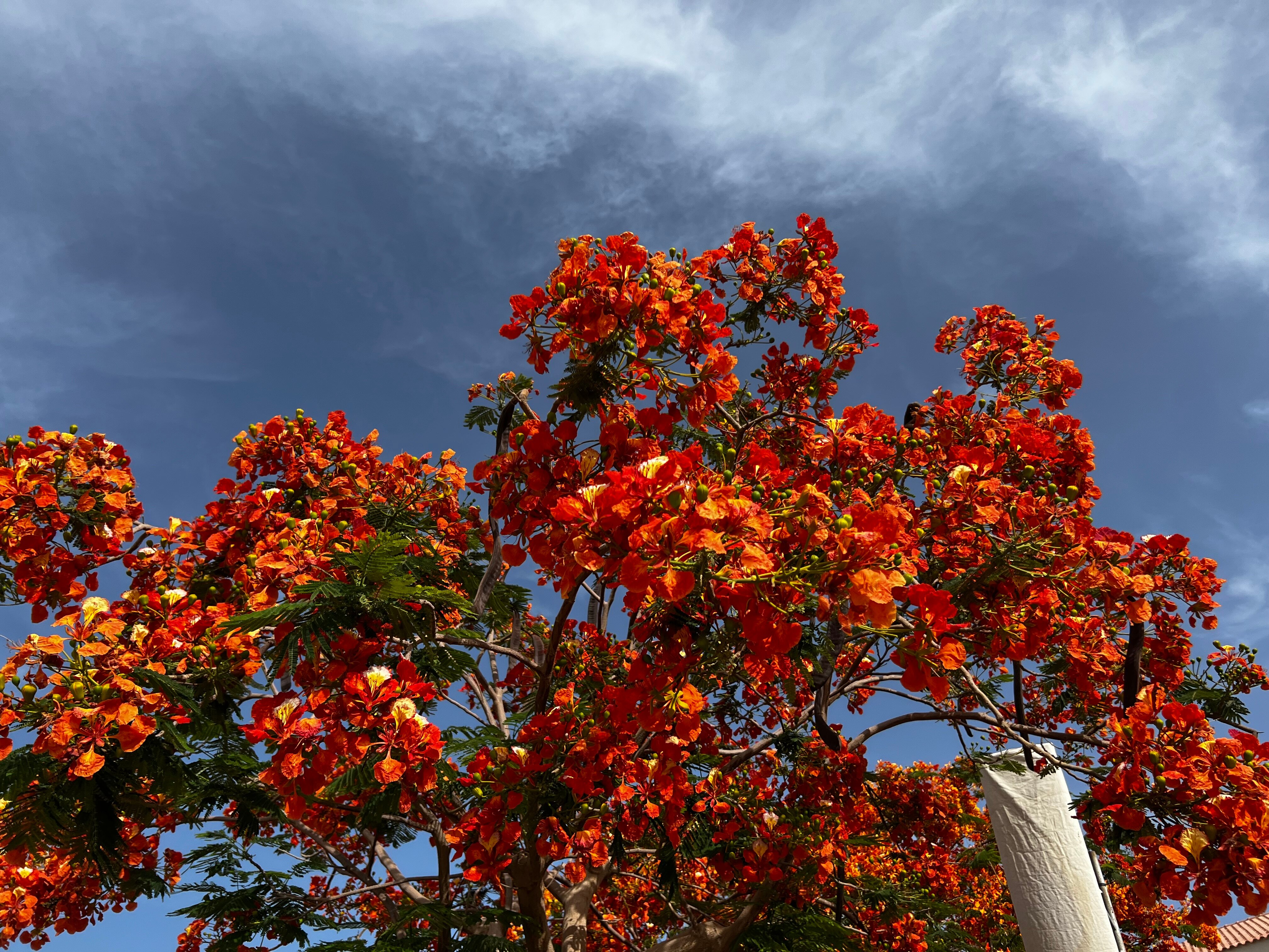 Фото Reef Oasis Beach