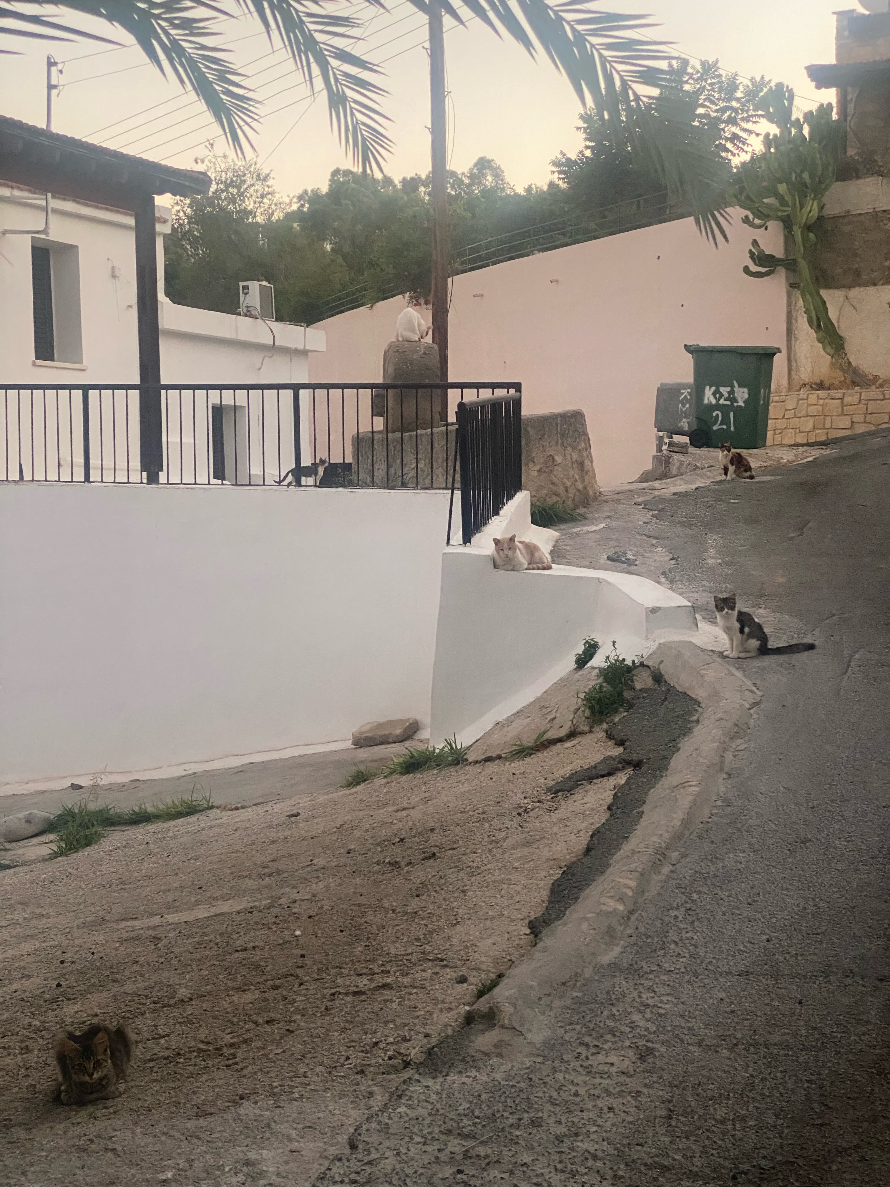 Фото Leonidas Village Houses