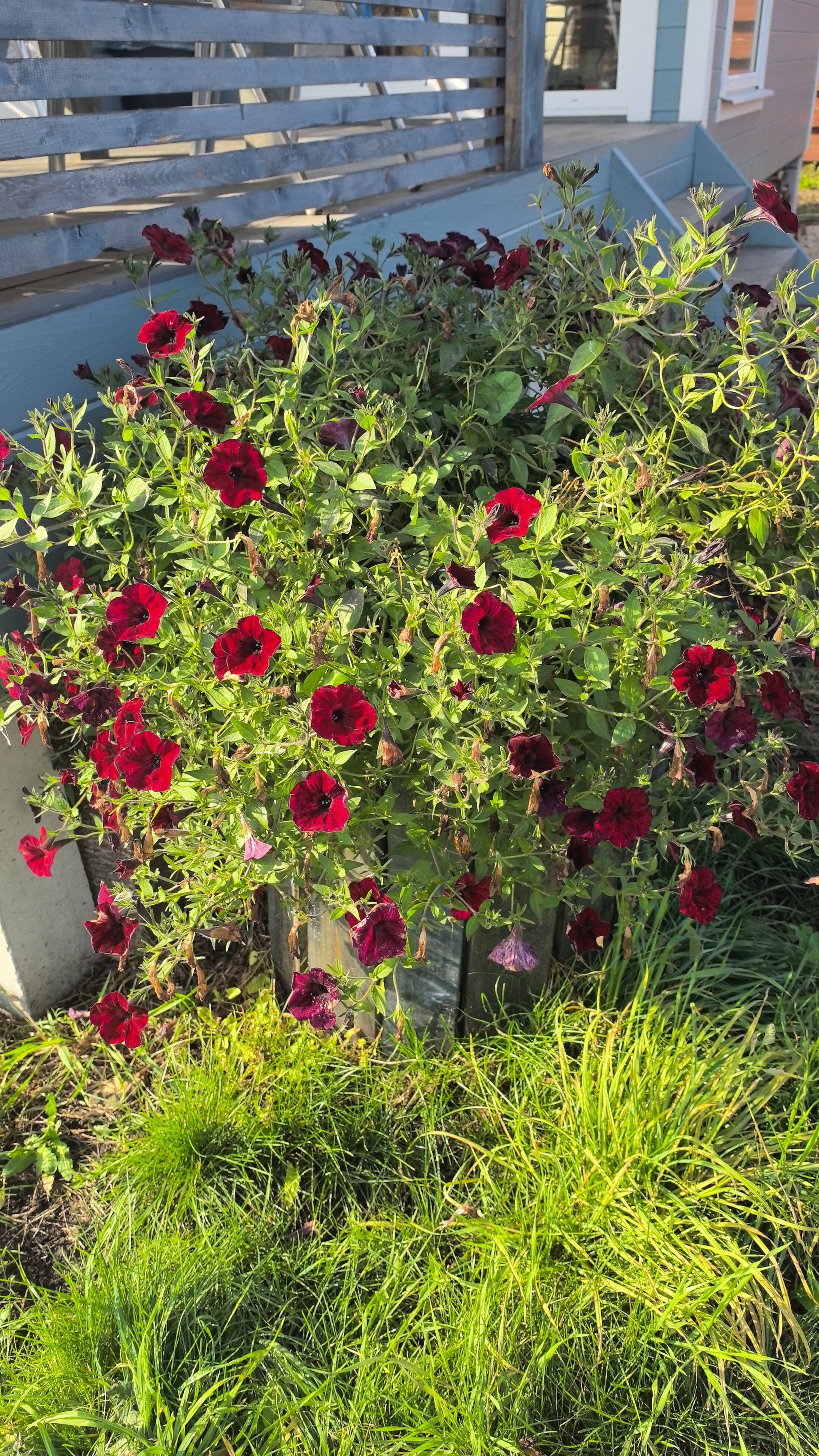 Фото Без границ