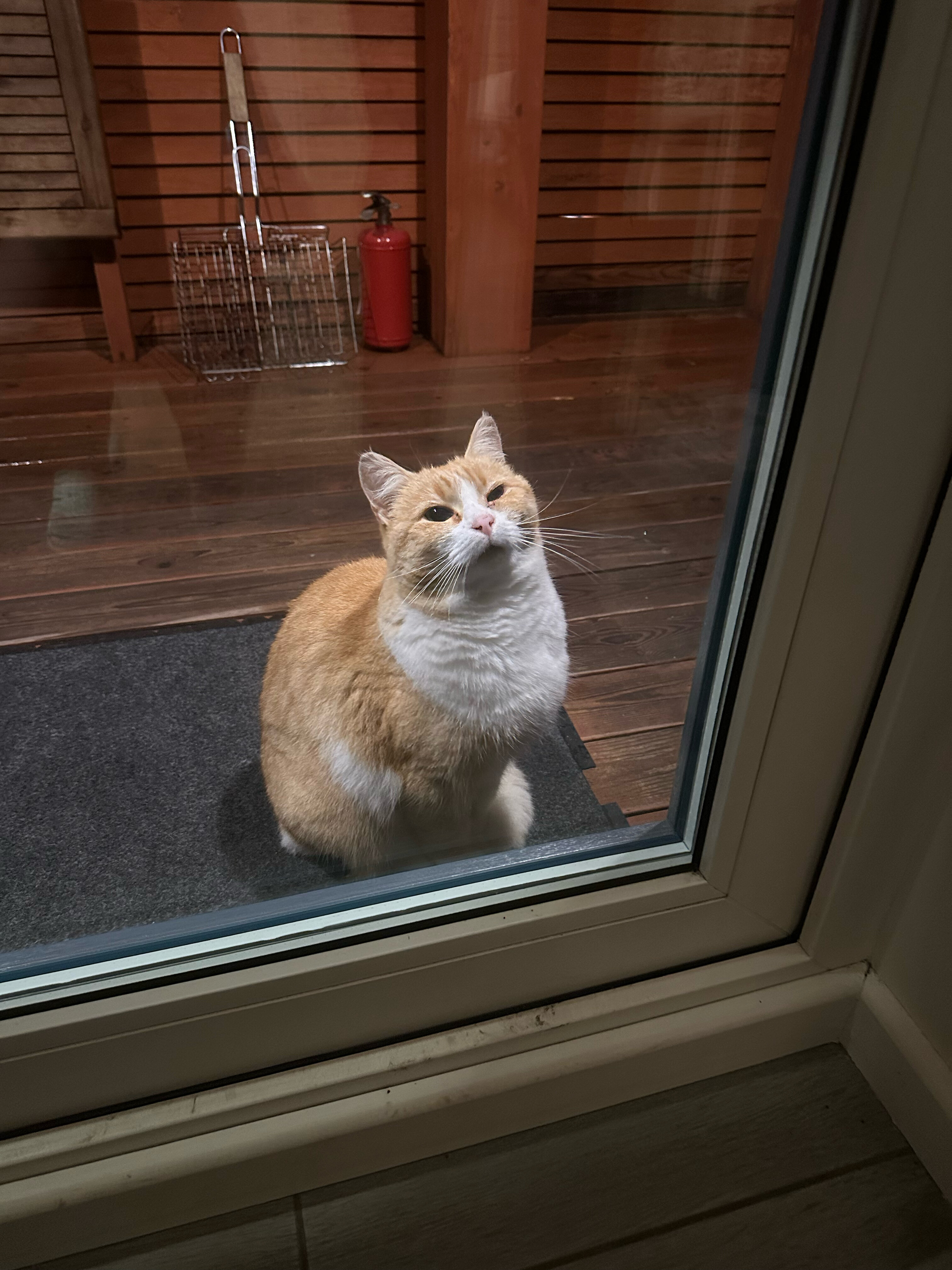 Фото Big dipper Holiday Houses