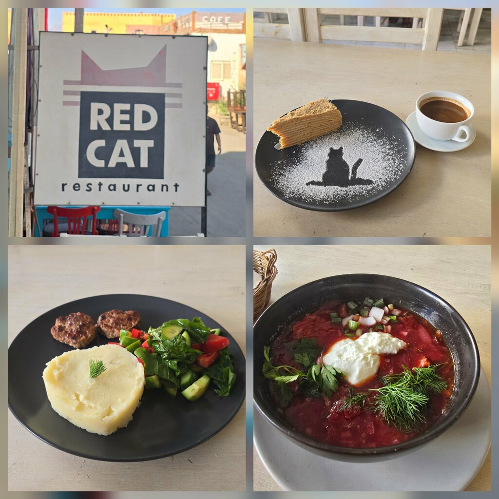 Cafe Red Cat Cafe, Dahab, photo