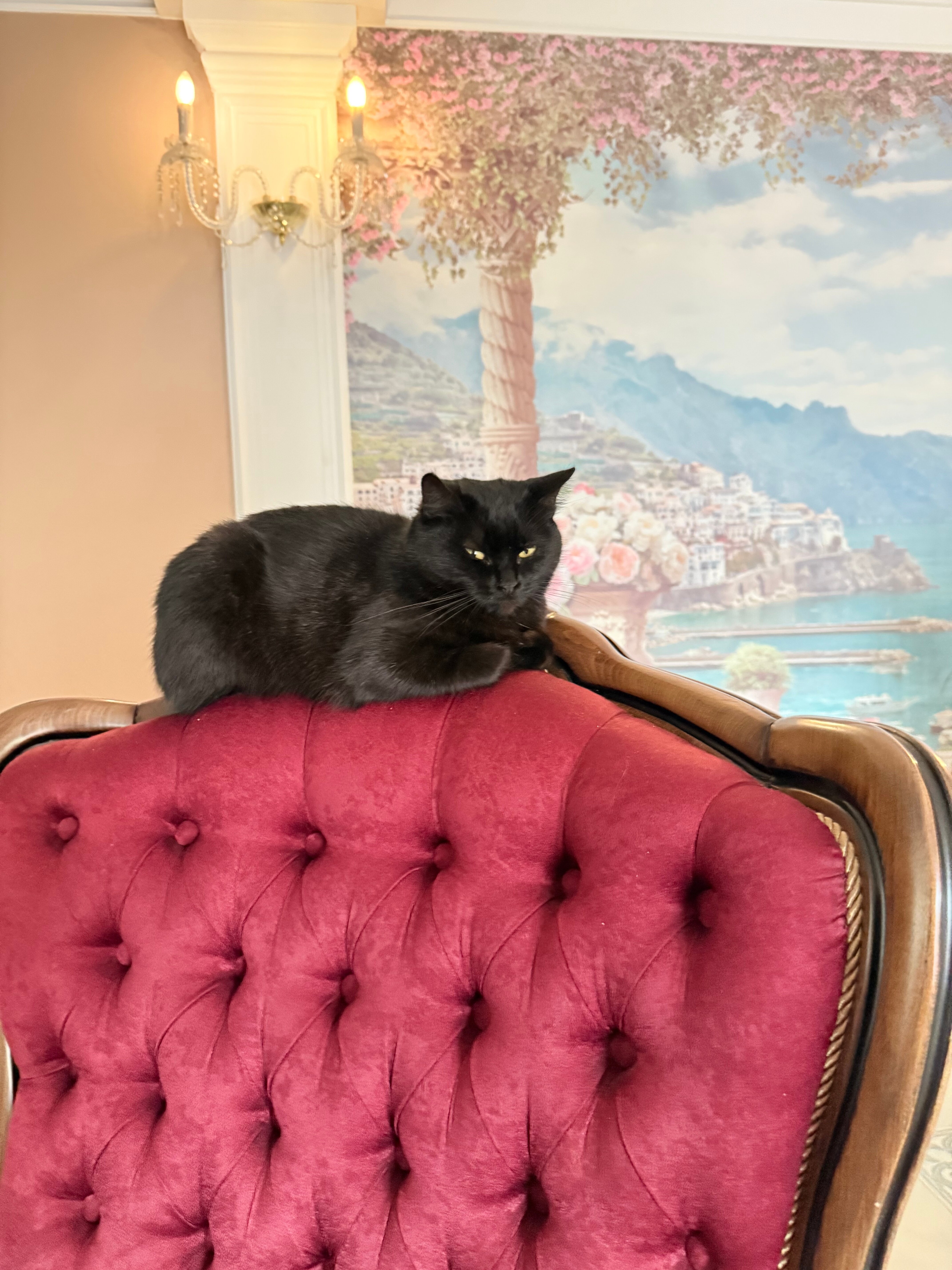 Фото Марко Поло